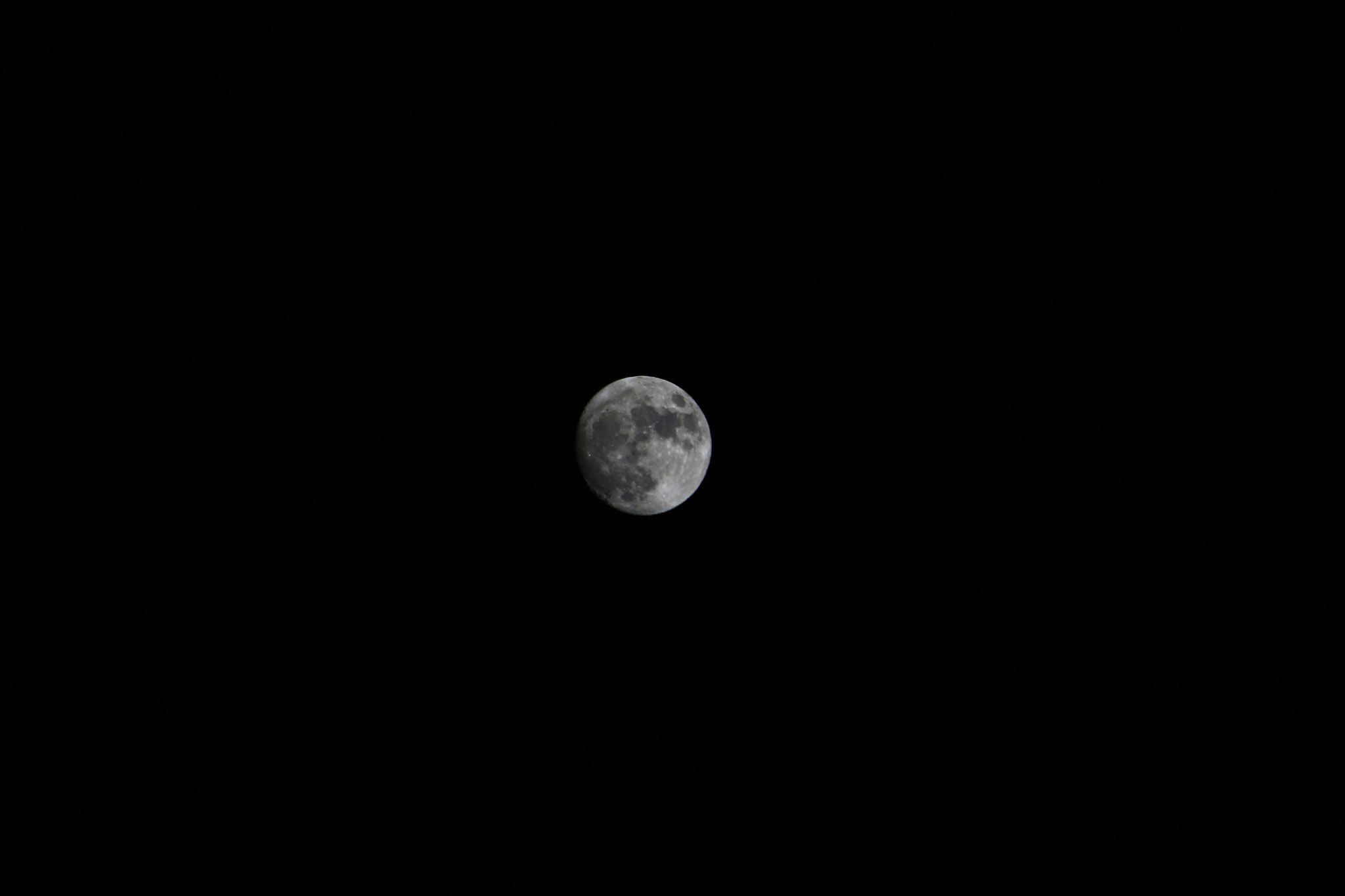 Canon EF-S 55-250mm F4-5.6 IS II sample photo. Mg photography