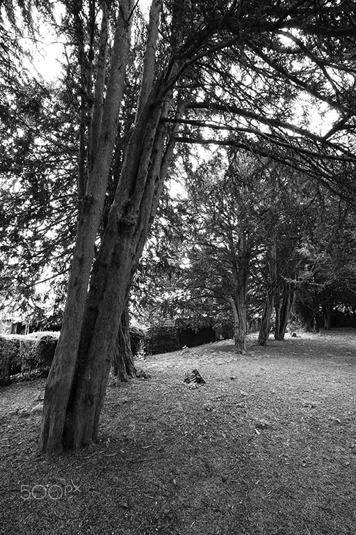 Panasonic Lumix G Vario 7-14mm F4 ASPH sample photo. Writtle church. photography