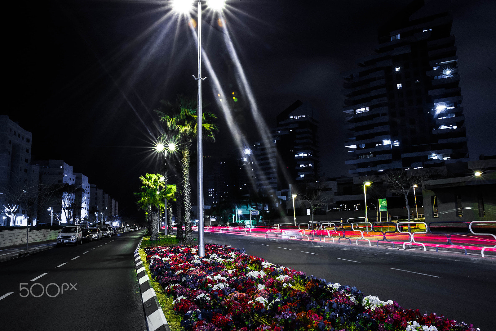 Canon EOS 6D + Sigma 24mm f/1.8 DG Macro EX sample photo. Israel 2017 photography