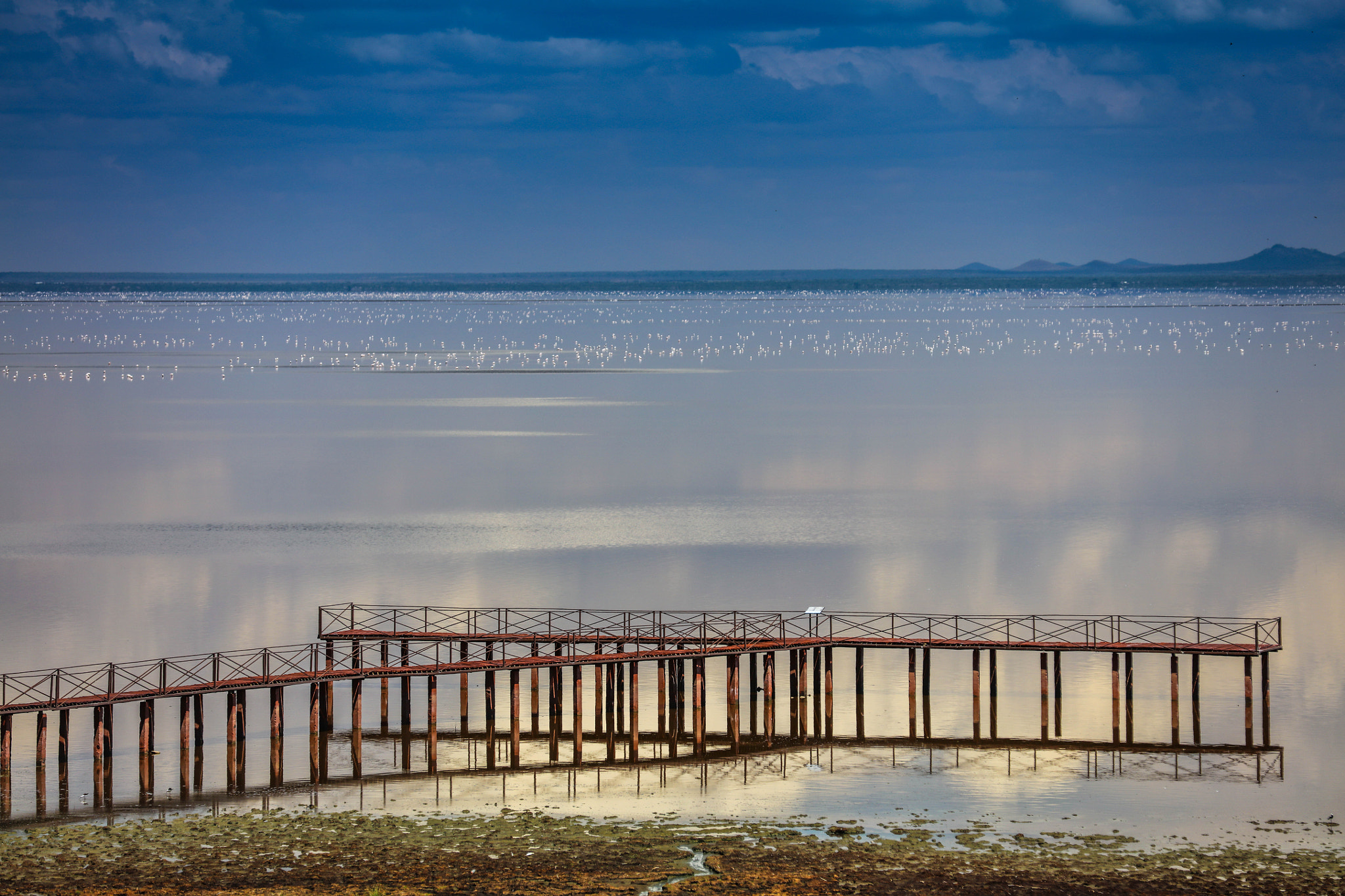 Canon EOS 5DS R sample photo. Lake manyara photography
