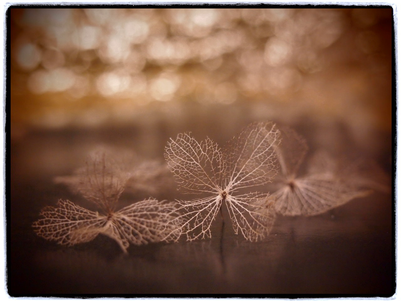 Olympus PEN E-PL2 sample photo. No trush photography