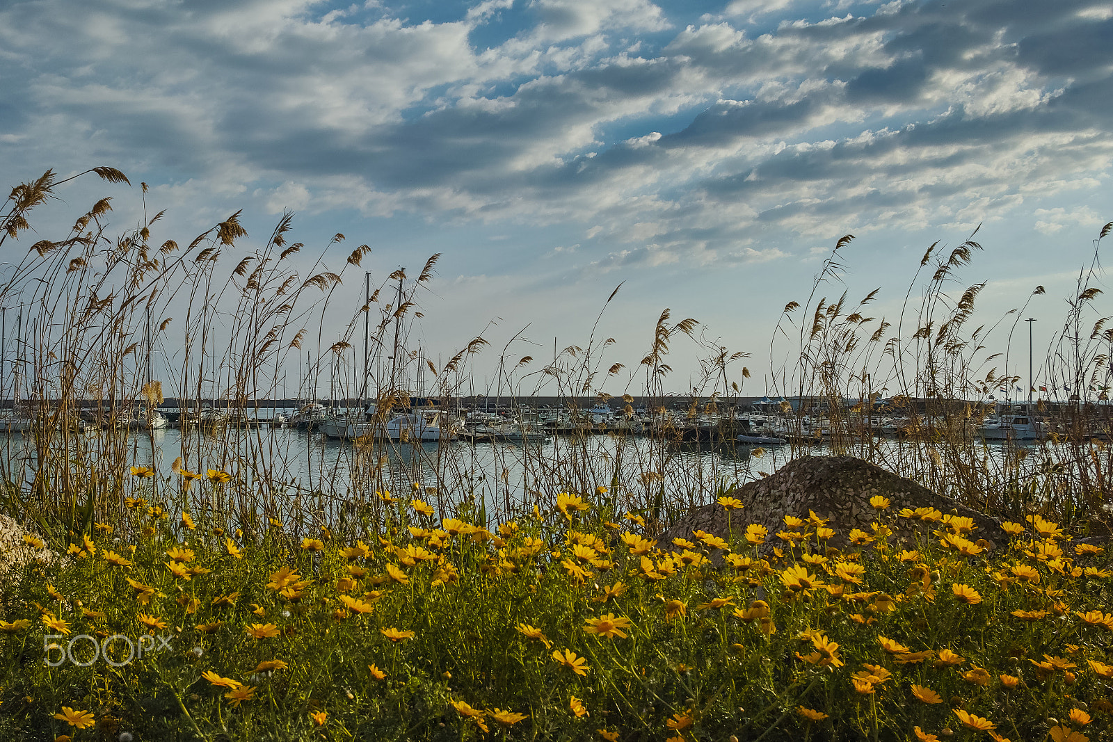 Sigma dp1 Quattro sample photo. Sciacca porto photography