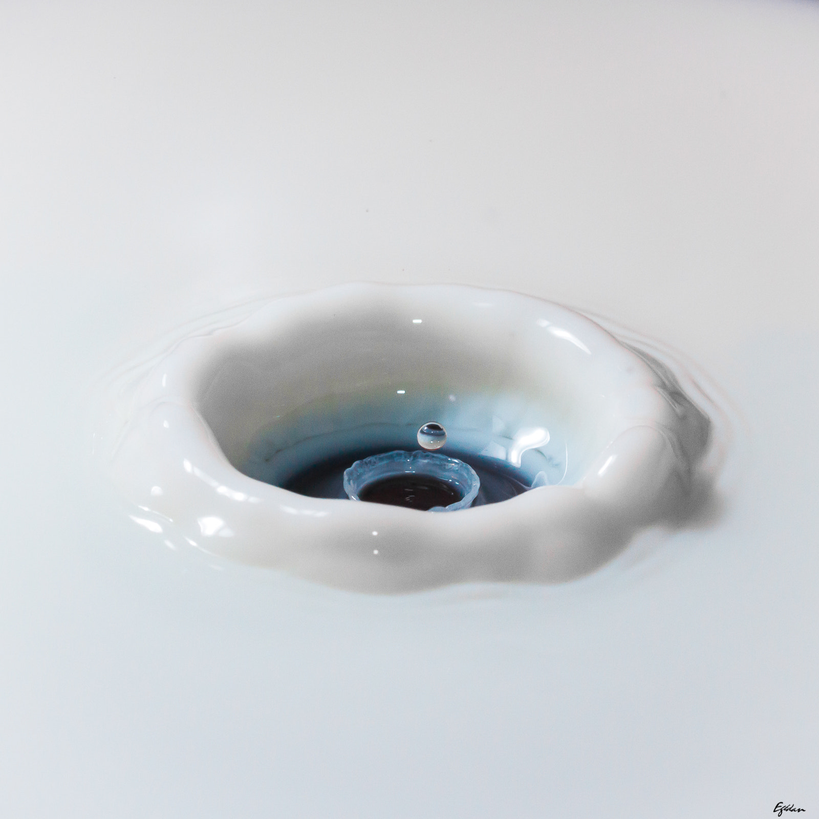 Canon EF-S 60mm F2.8 Macro USM sample photo. Goutte le lait photography