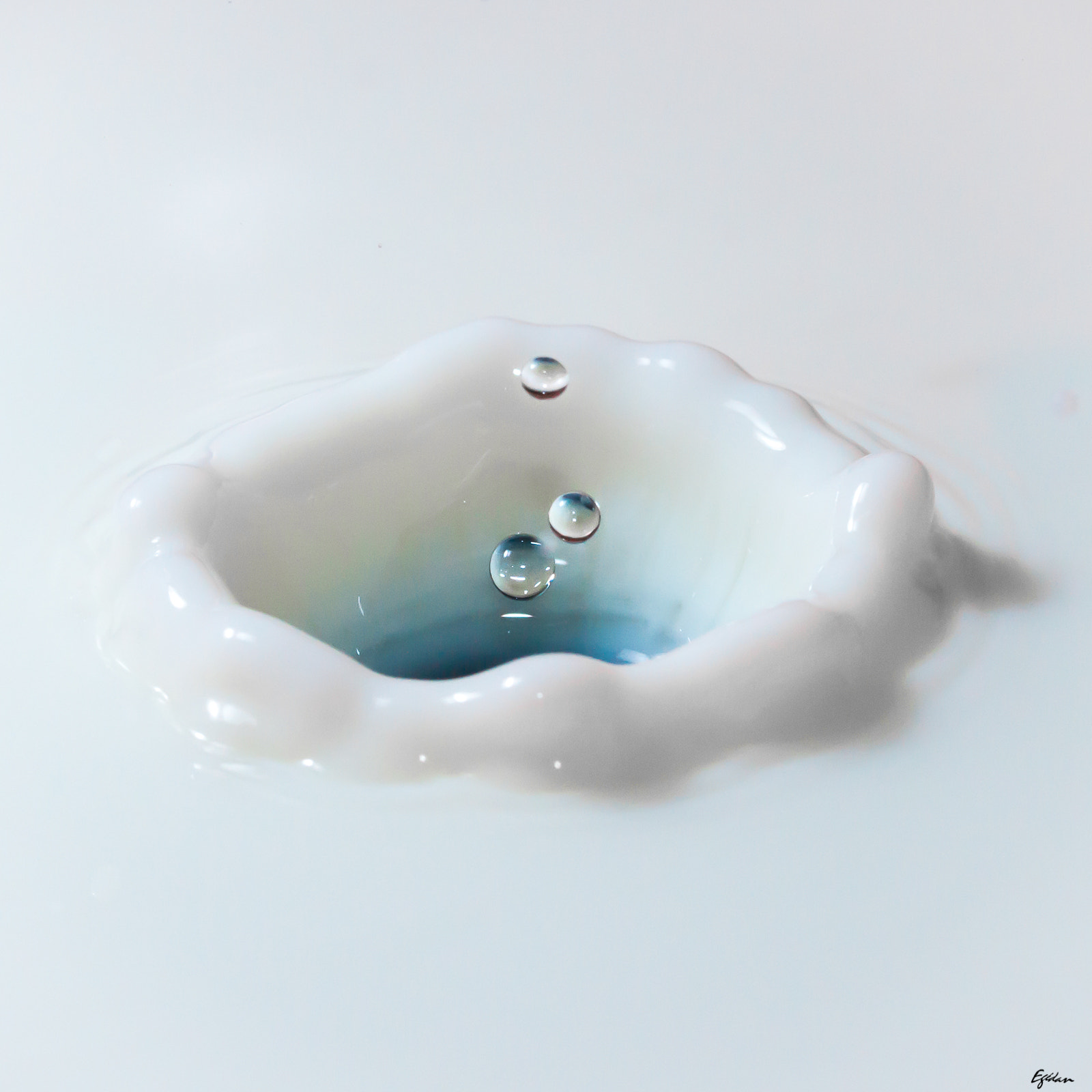 Canon EF-S 60mm F2.8 Macro USM sample photo. Goutte le lait photography