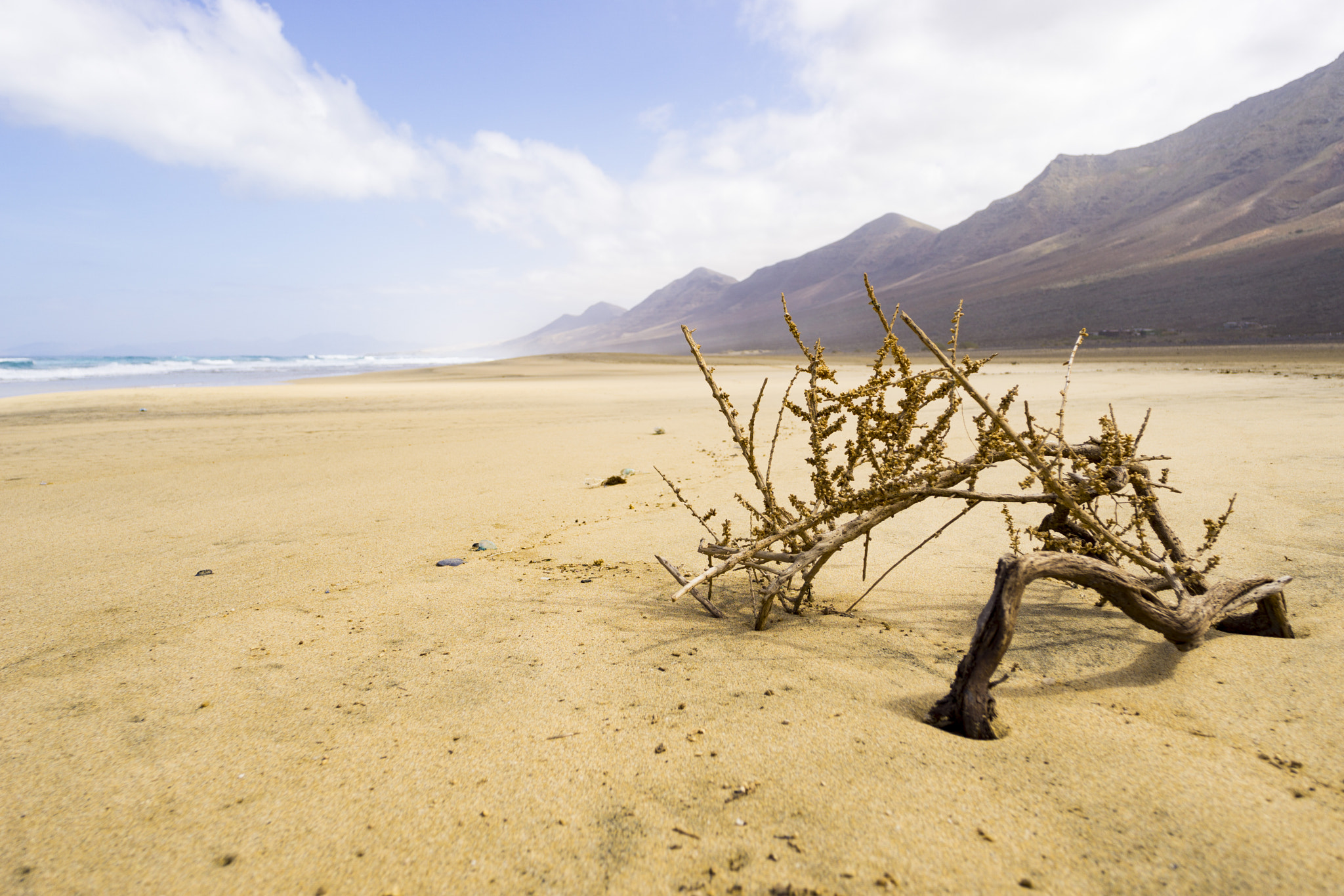 Sony a6000 + Voigtlander SUPER WIDE-HELIAR 15mm F4.5 III sample photo. Dsc05080_1.jpg photography