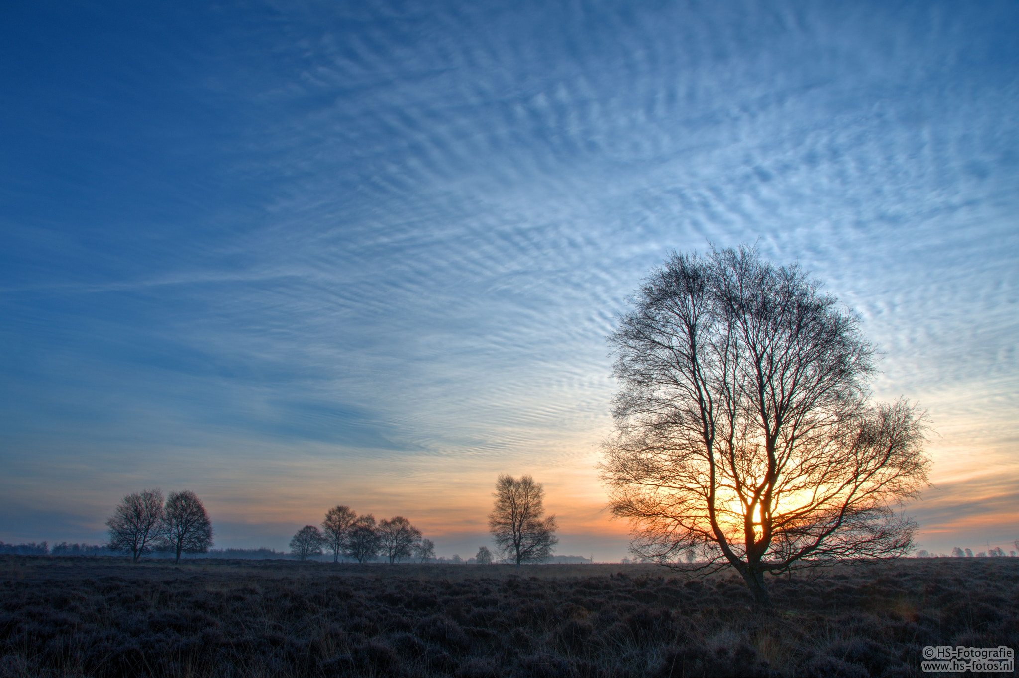Nikon D500 sample photo. Sunrise over bargerveen photography