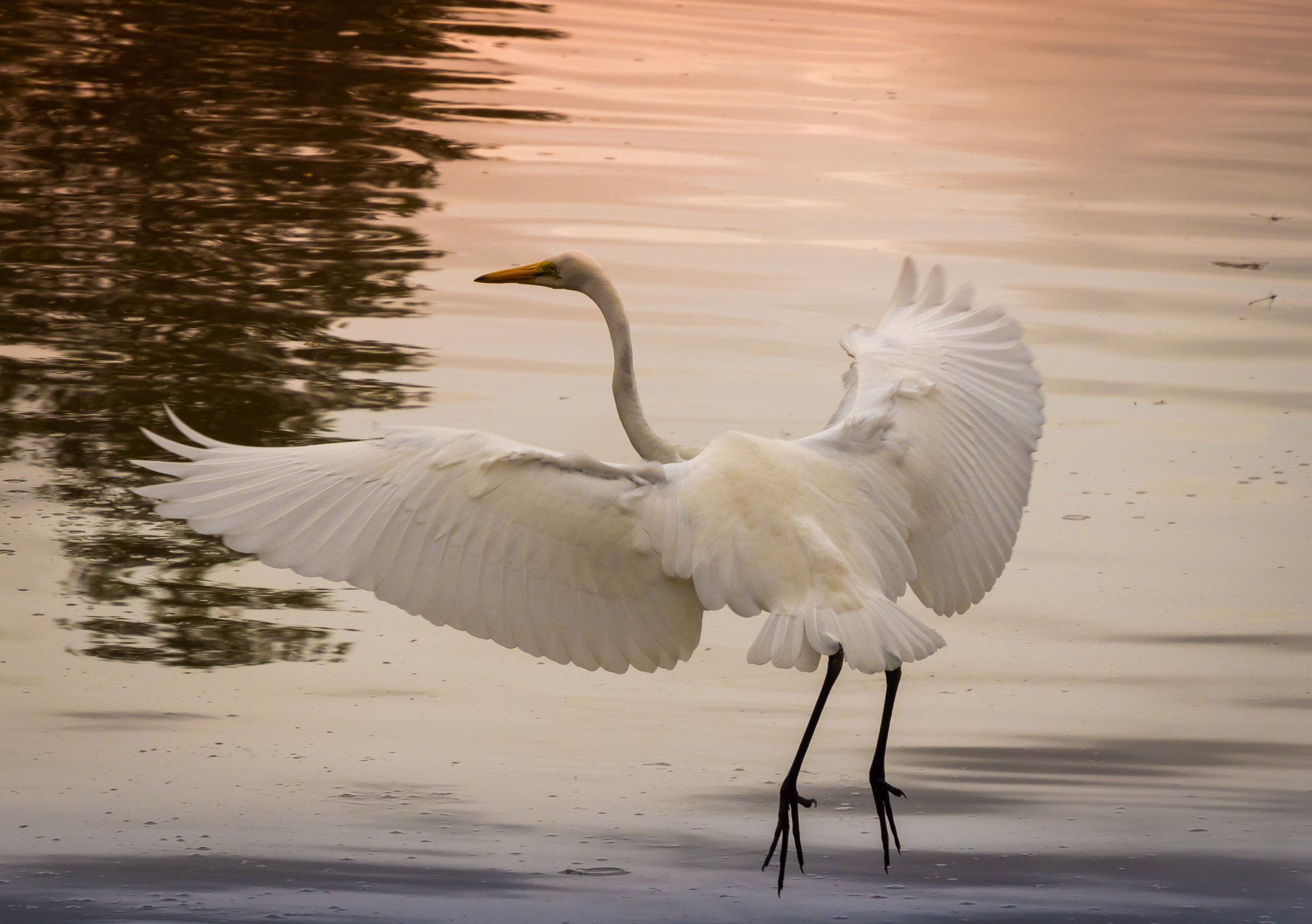 Olympus OM-D E-M10 II sample photo. Early morning in autumn photography
