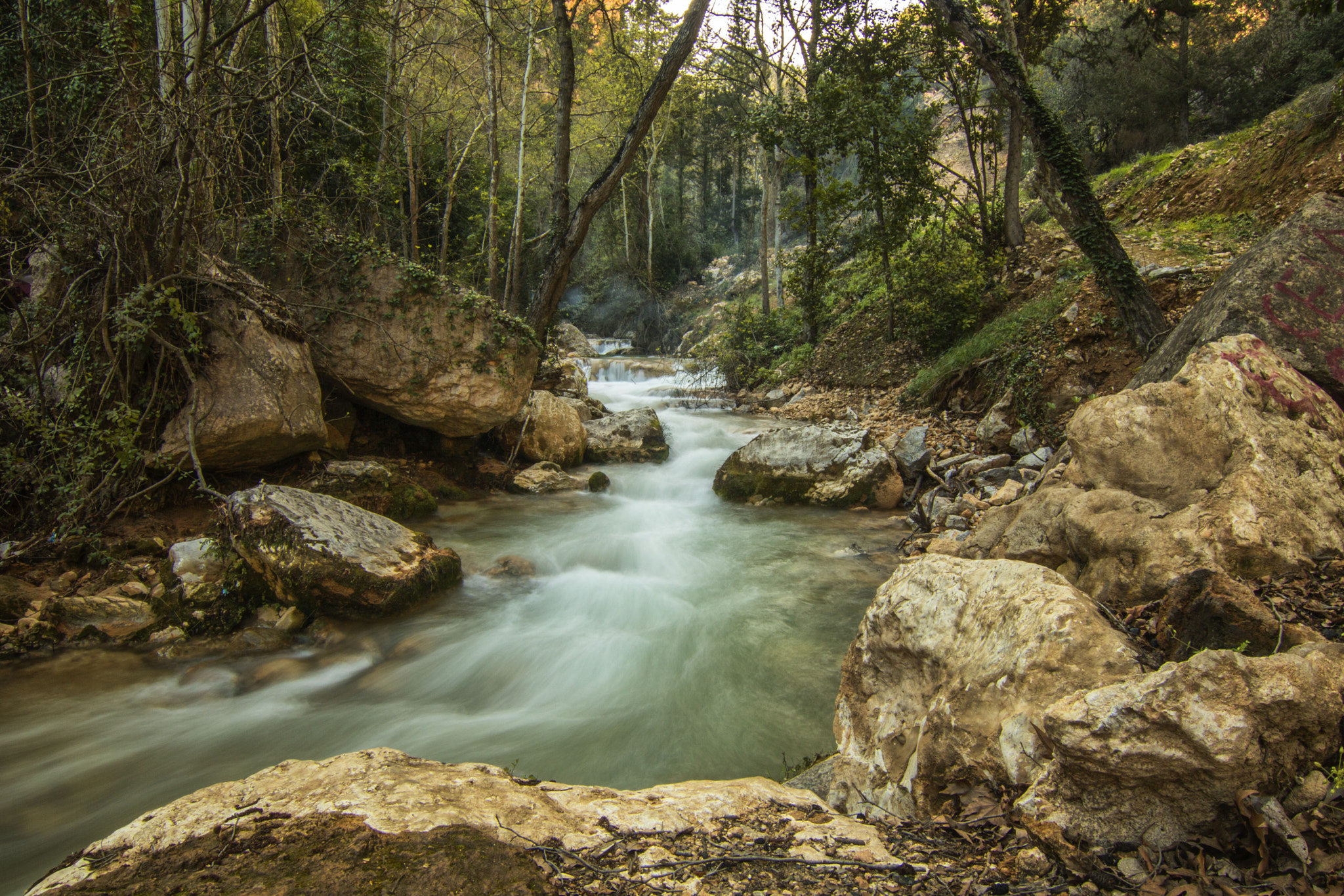 Canon EOS 760D (EOS Rebel T6s / EOS 8000D) sample photo. Spring water photography
