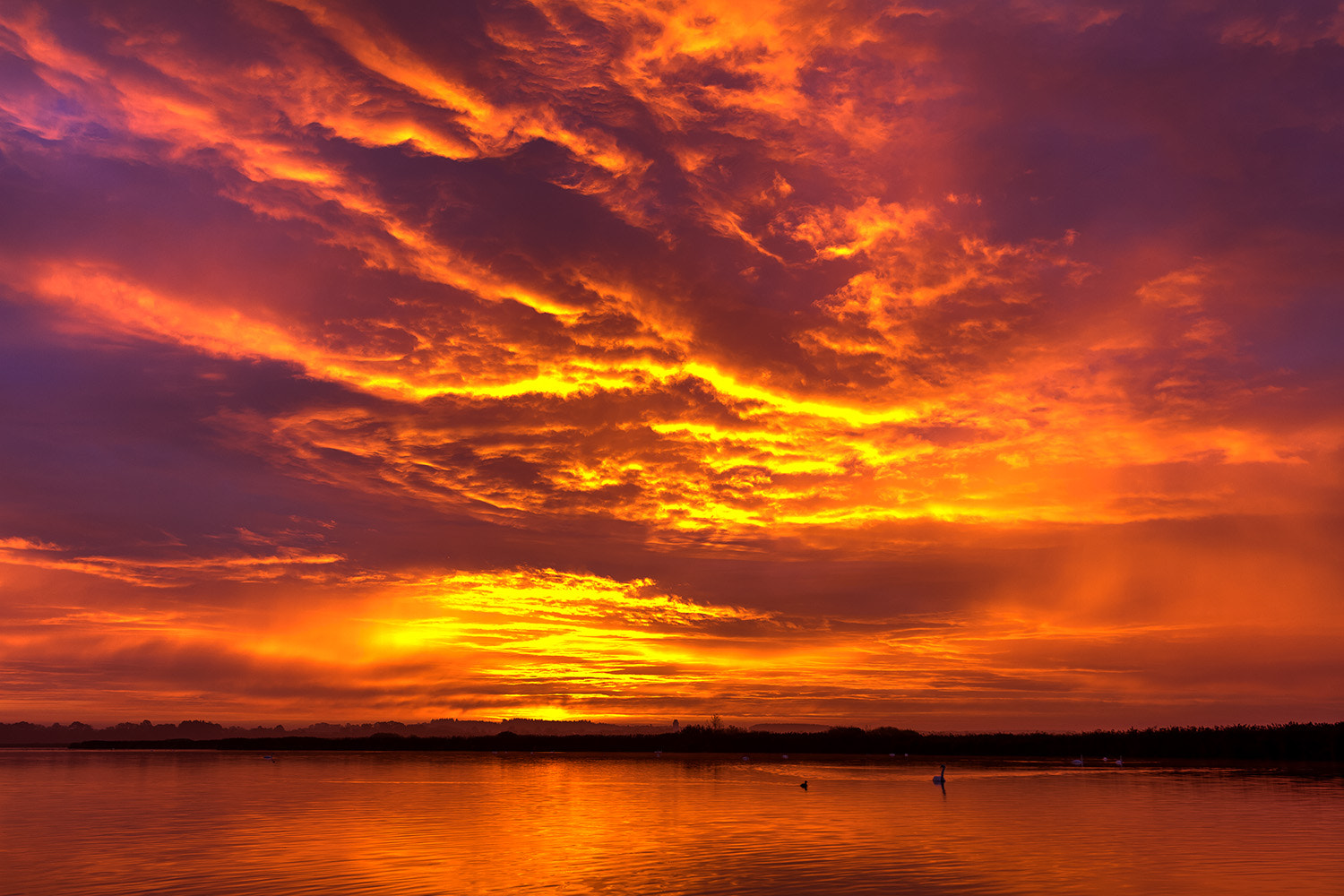 Canon EF-S 10-22mm F3.5-4.5 USM sample photo. Sunrise at lake federsee photography