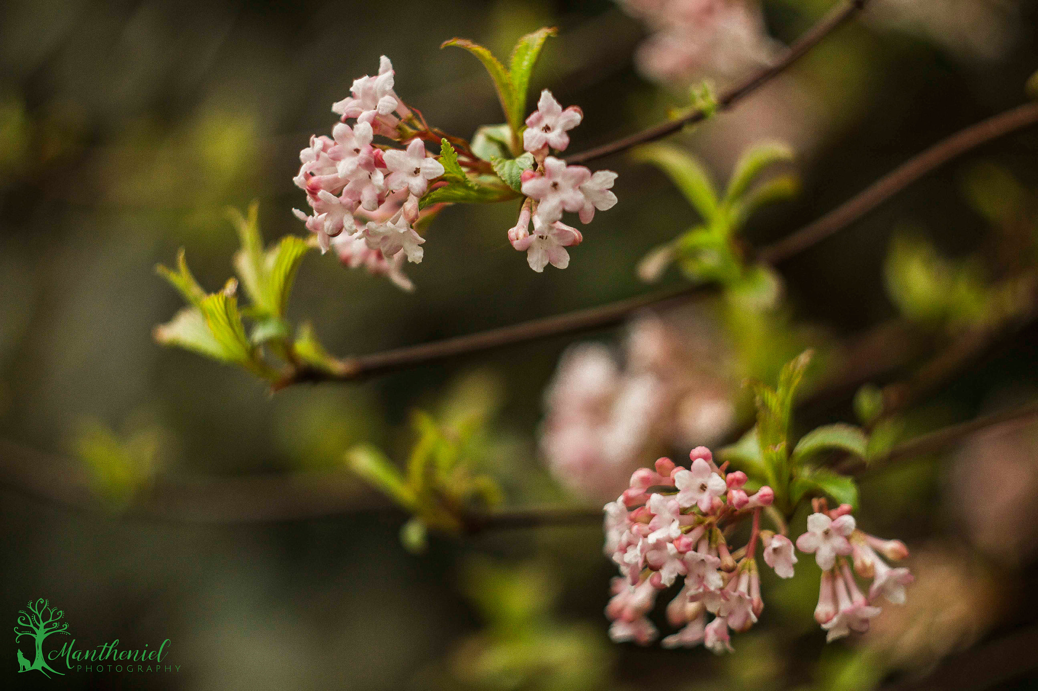 Canon EF 35-80mm f/4-5.6 sample photo. Welcome spring ♥ photography