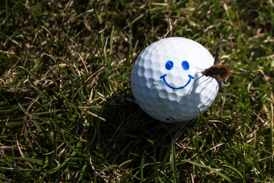 Nikon D750 sample photo. Golfball photography