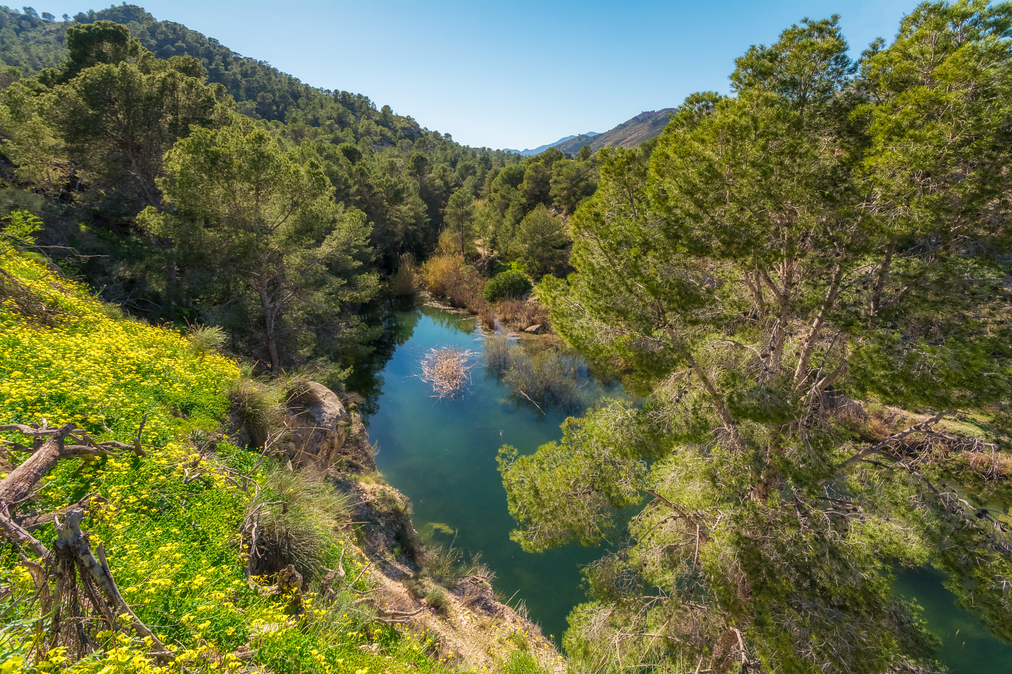 Sigma 10-20mm F4-5.6 EX DC HSM sample photo. The water below photography