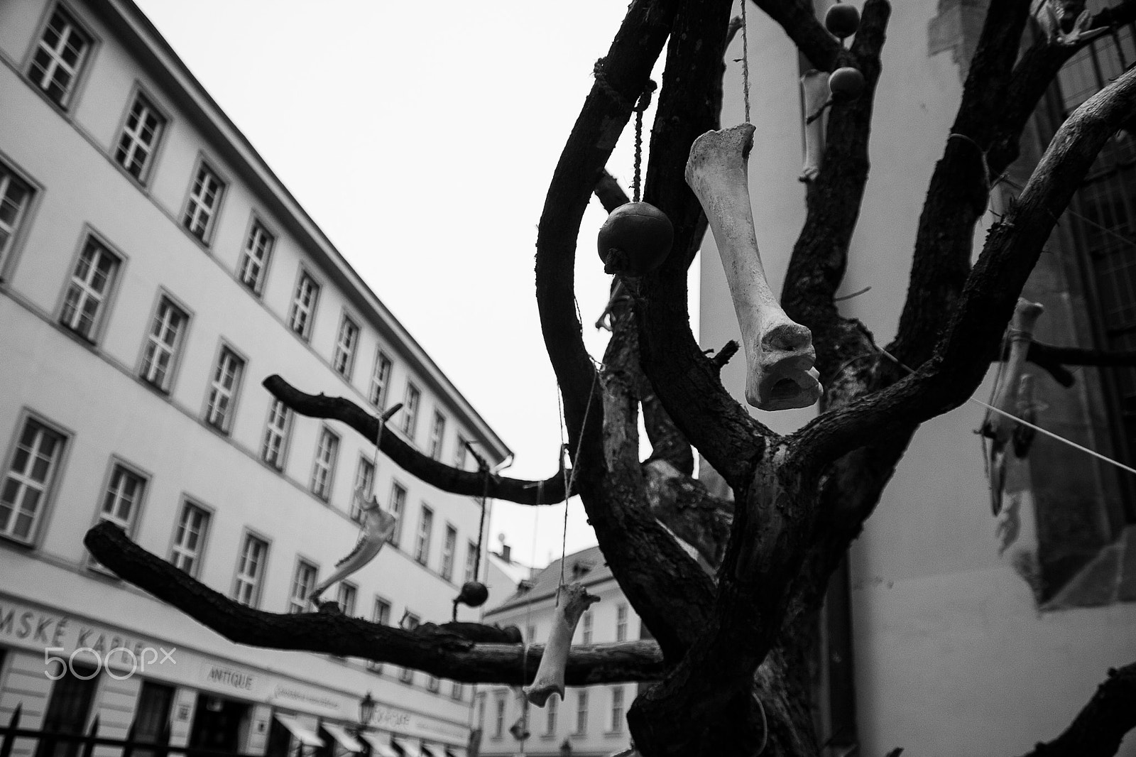 Sigma 18-250mm F3.5-6.3 DC OS HSM sample photo. Modern street art photography