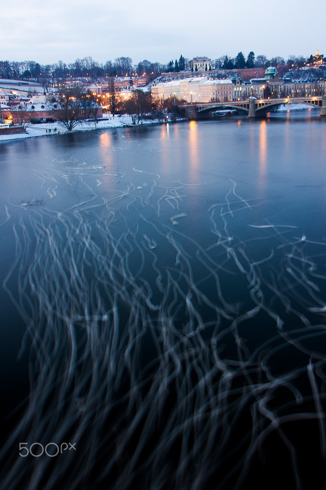 Sigma 18-250mm F3.5-6.3 DC OS HSM sample photo. Swan traces photography