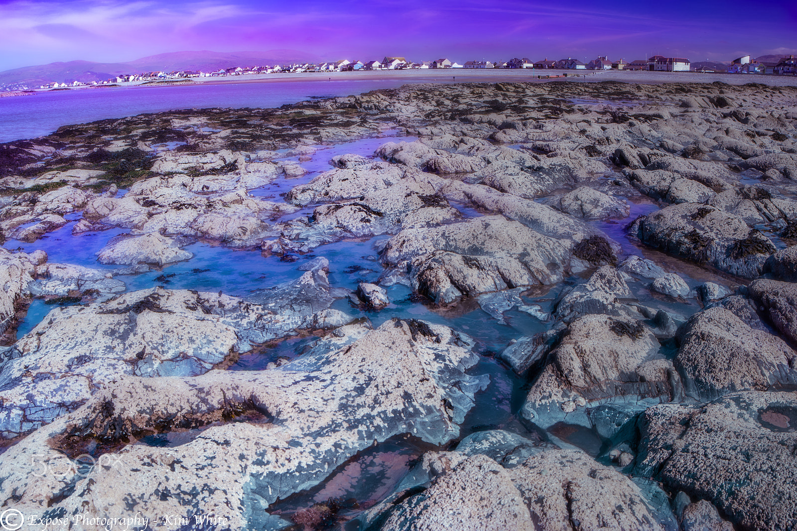 Nikon D500 sample photo. Rocky path photography