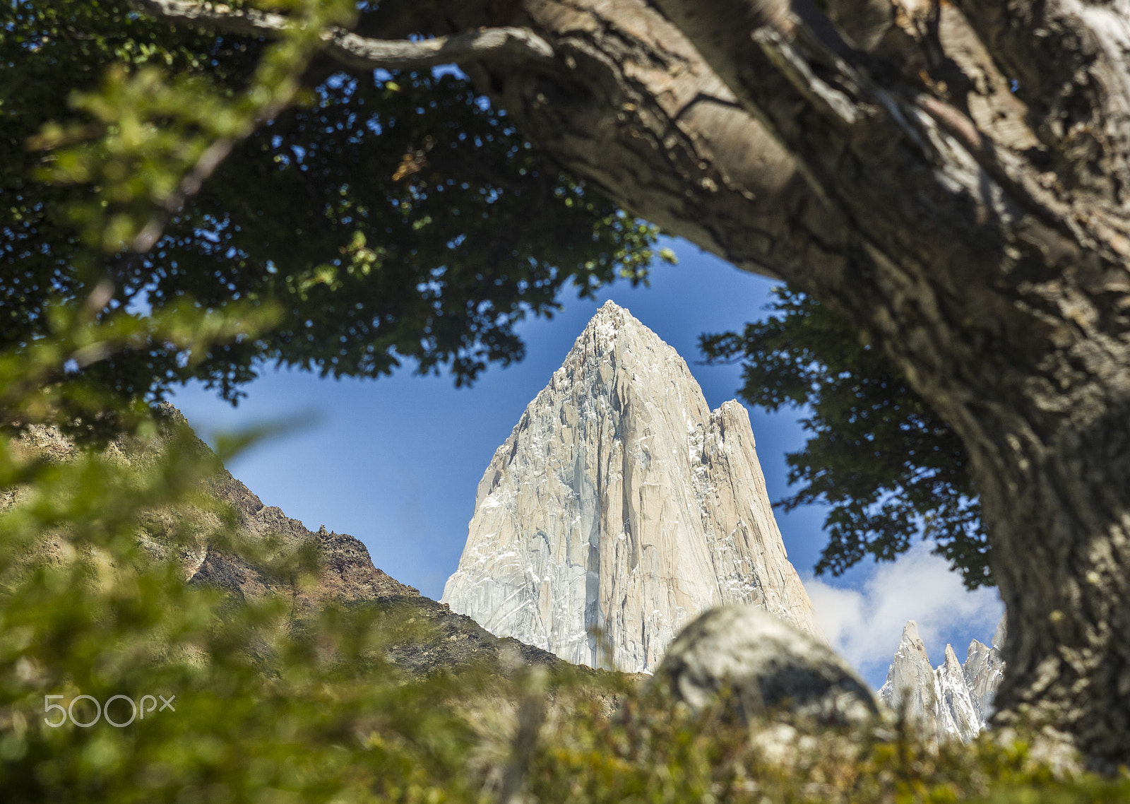 Canon EF 35-80mm f/4-5.6 sample photo. Fitz-roy tower in patagonia through the leaves photography