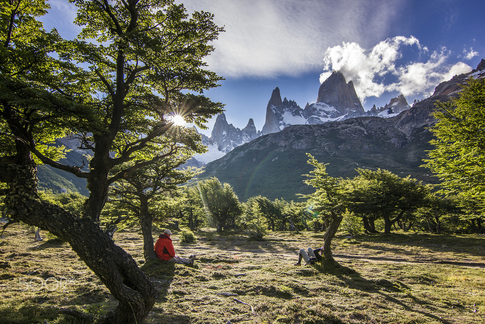 Canon EOS 550D (EOS Rebel T2i / EOS Kiss X4) sample photo. Sunset through the leaves near fitz-roy mountain in patagonia photography