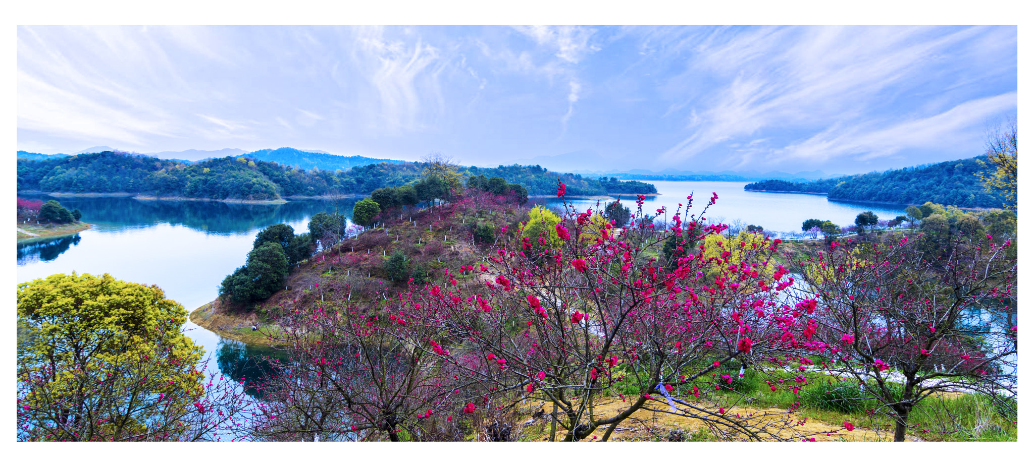 Tokina AT-X Pro 12-24mm F4 (IF) DX sample photo. 桃花源 photography