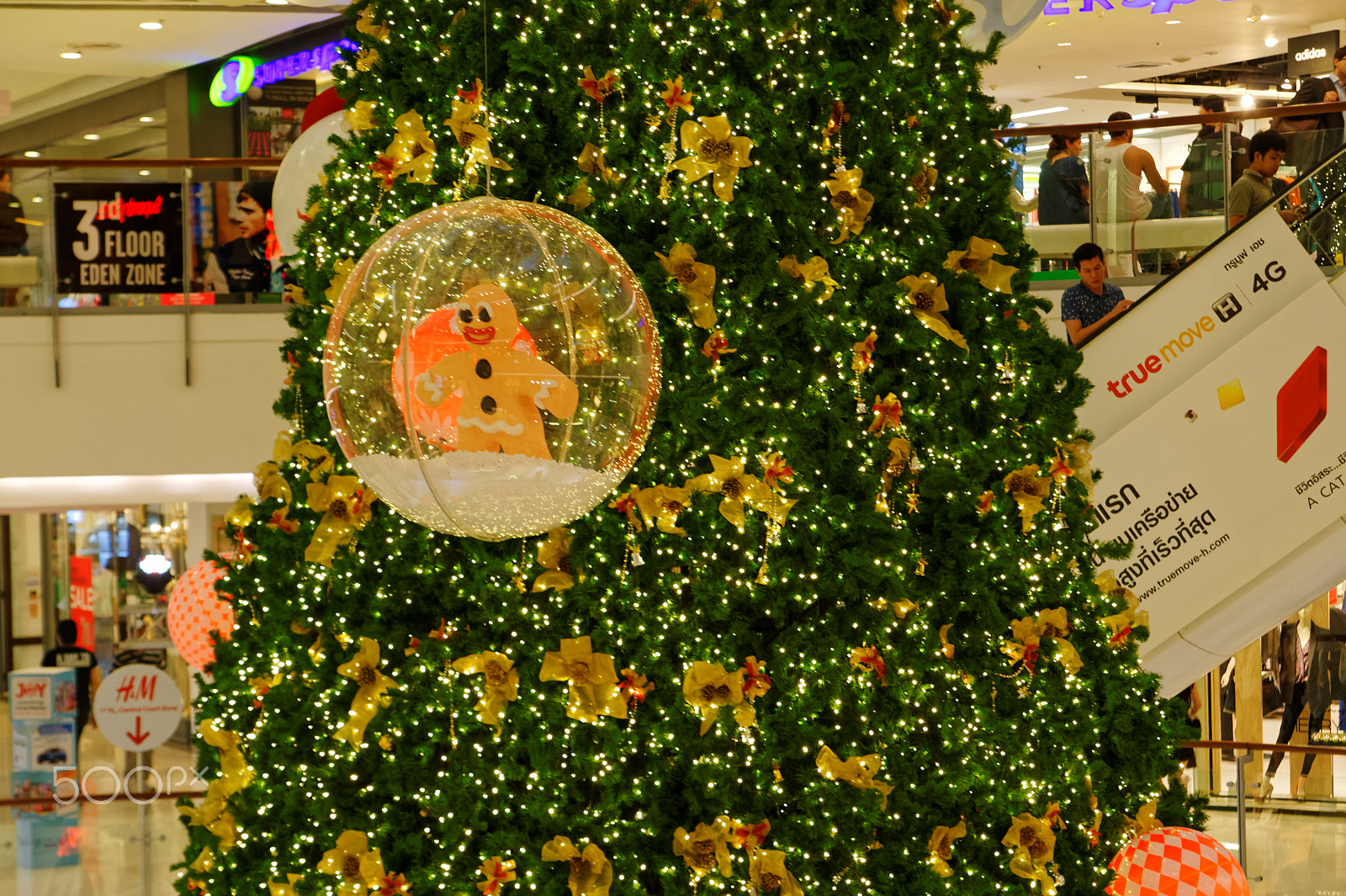 Nikon D700 sample photo. Merry christmas photography