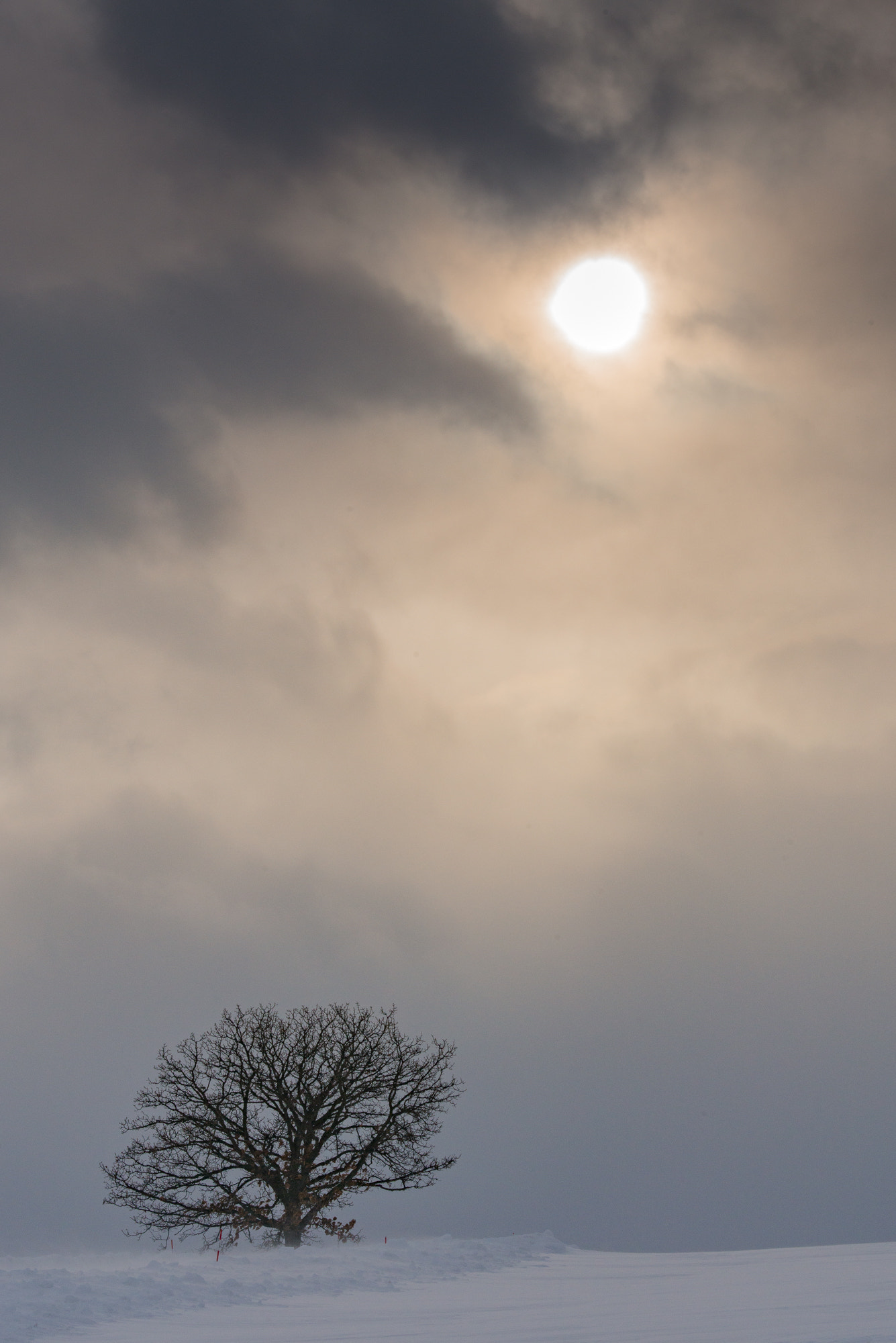 Nikon D800E sample photo. Fleeting sunshine photography