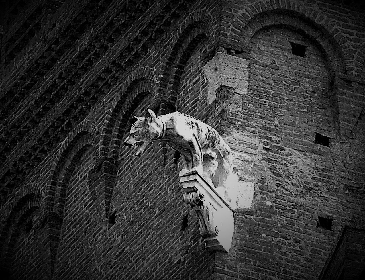 Sony DT 18-200mm F3.5-6.3 sample photo. Gargoyle 2 photography