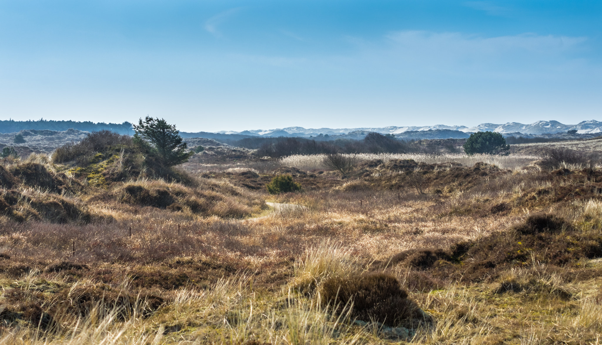 Pentax K-3 sample photo. Dunes of holland photography