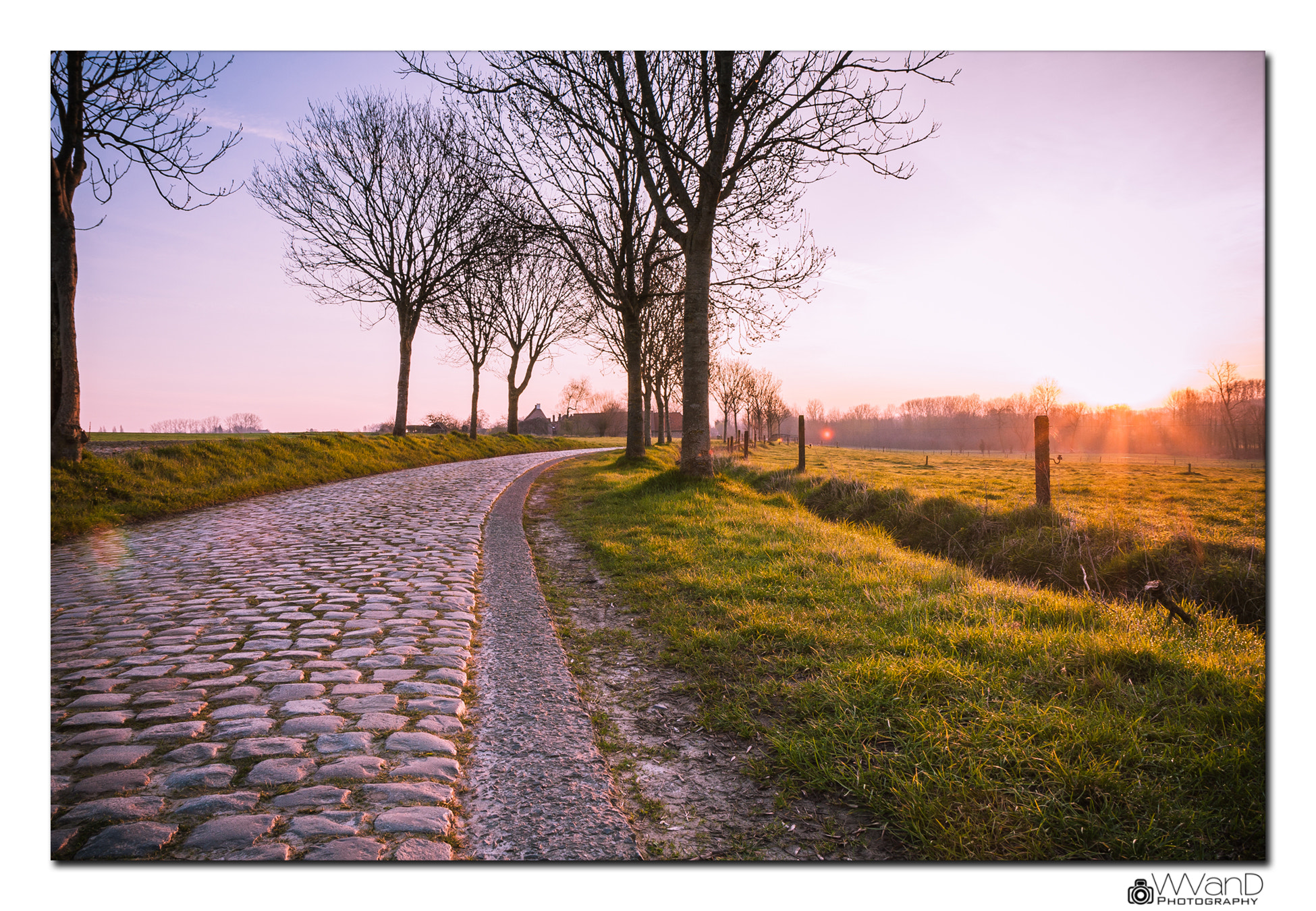 Canon EF-S 17-55mm F2.8 IS USM sample photo. Paddestraat photography