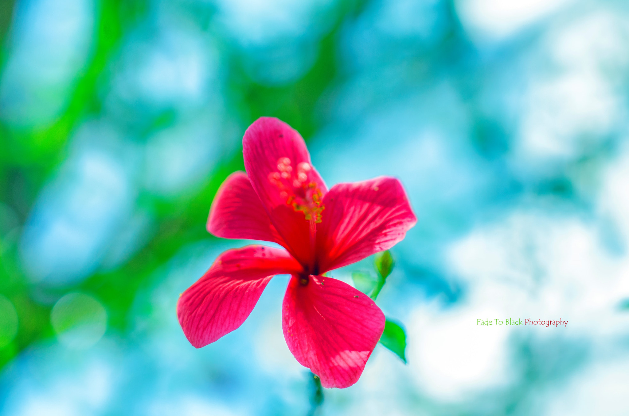 Nikon D5100 + Samyang 35mm F1.4 AS UMC sample photo. The bright spot photography