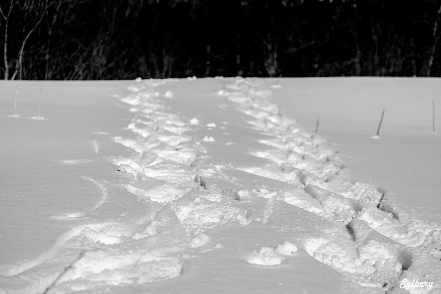Fujifilm XF 55-200mm F3.5-4.8 R LM OIS sample photo. Where the road leads us / où la route nous mène #2 photography