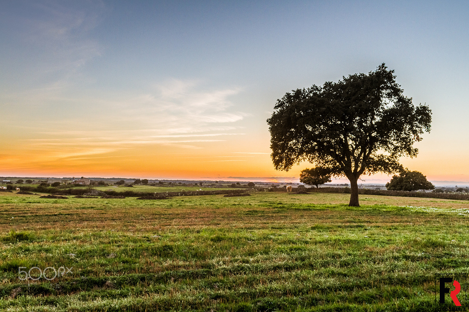 Canon EF-S 18-55mm F3.5-5.6 III sample photo. Alentejo photography
