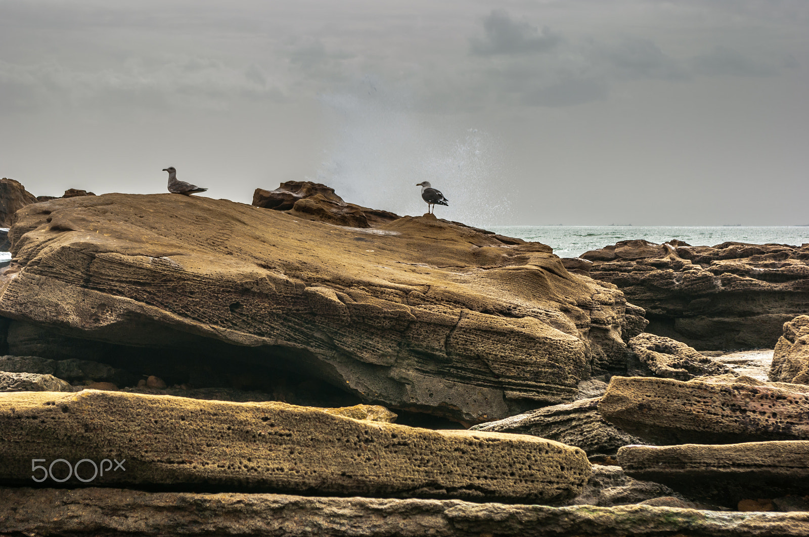 Pentax K200D + smc PENTAX-DA L 18-55mm F3.5-5.6 sample photo. Segulls photography