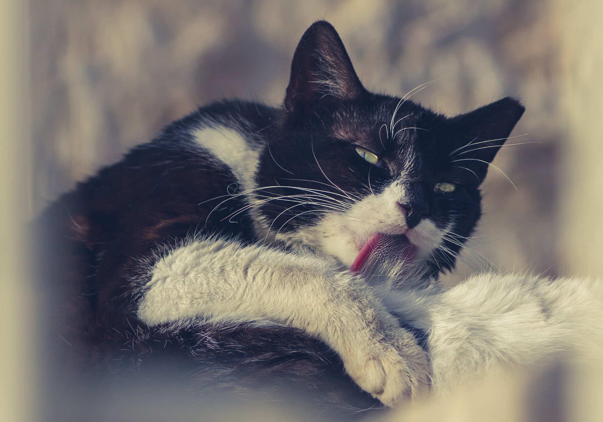 Canon EOS 7D + Tamron SP AF 90mm F2.8 Di Macro sample photo. Bath time photography