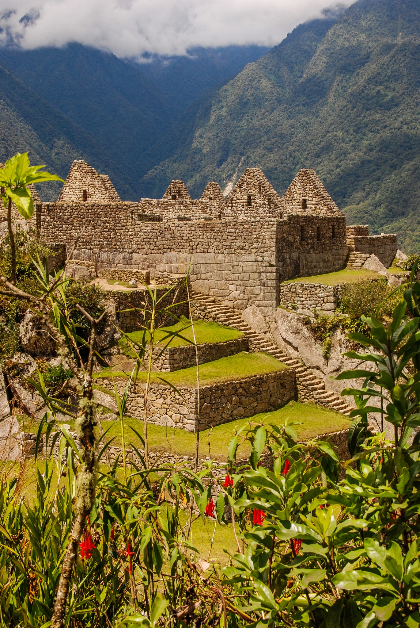 Nikon D80 + Sigma 18-200mm F3.5-6.3 DC sample photo. Blooming machu picchu photography