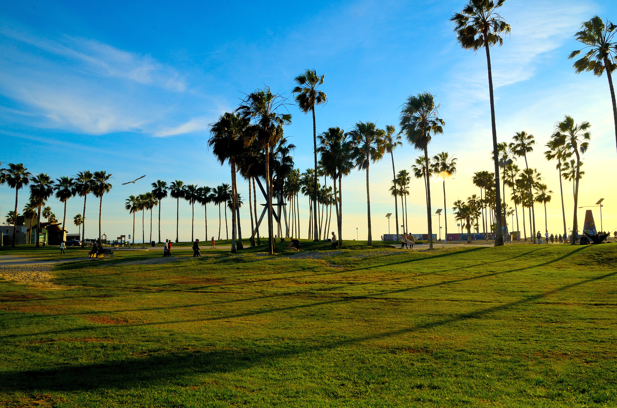 Sigma 18-50mm F2.8 EX DC sample photo. Venice beach - california photography