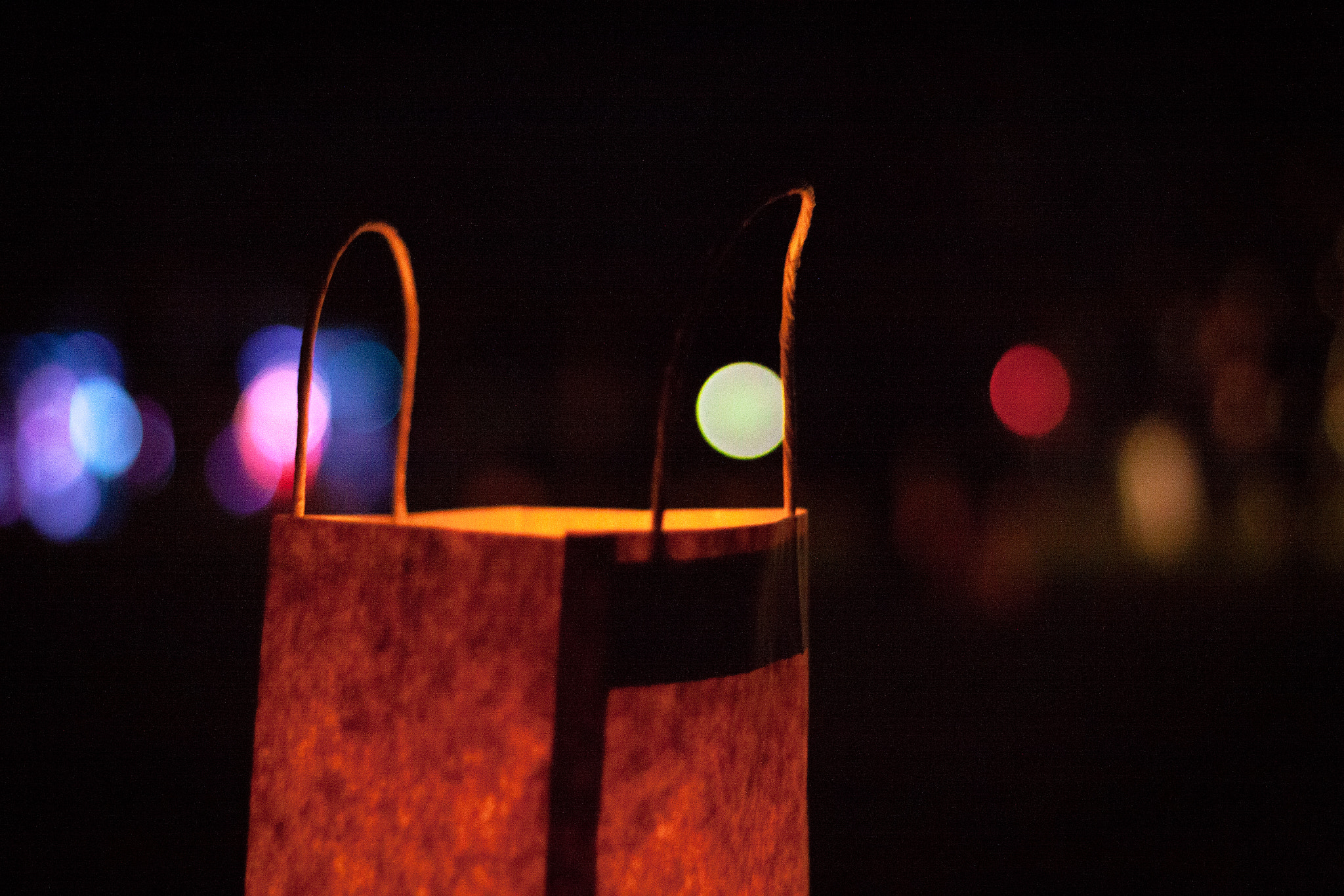 Canon EOS 50D + Canon EF 50mm F1.8 II sample photo. Lantern parade photography