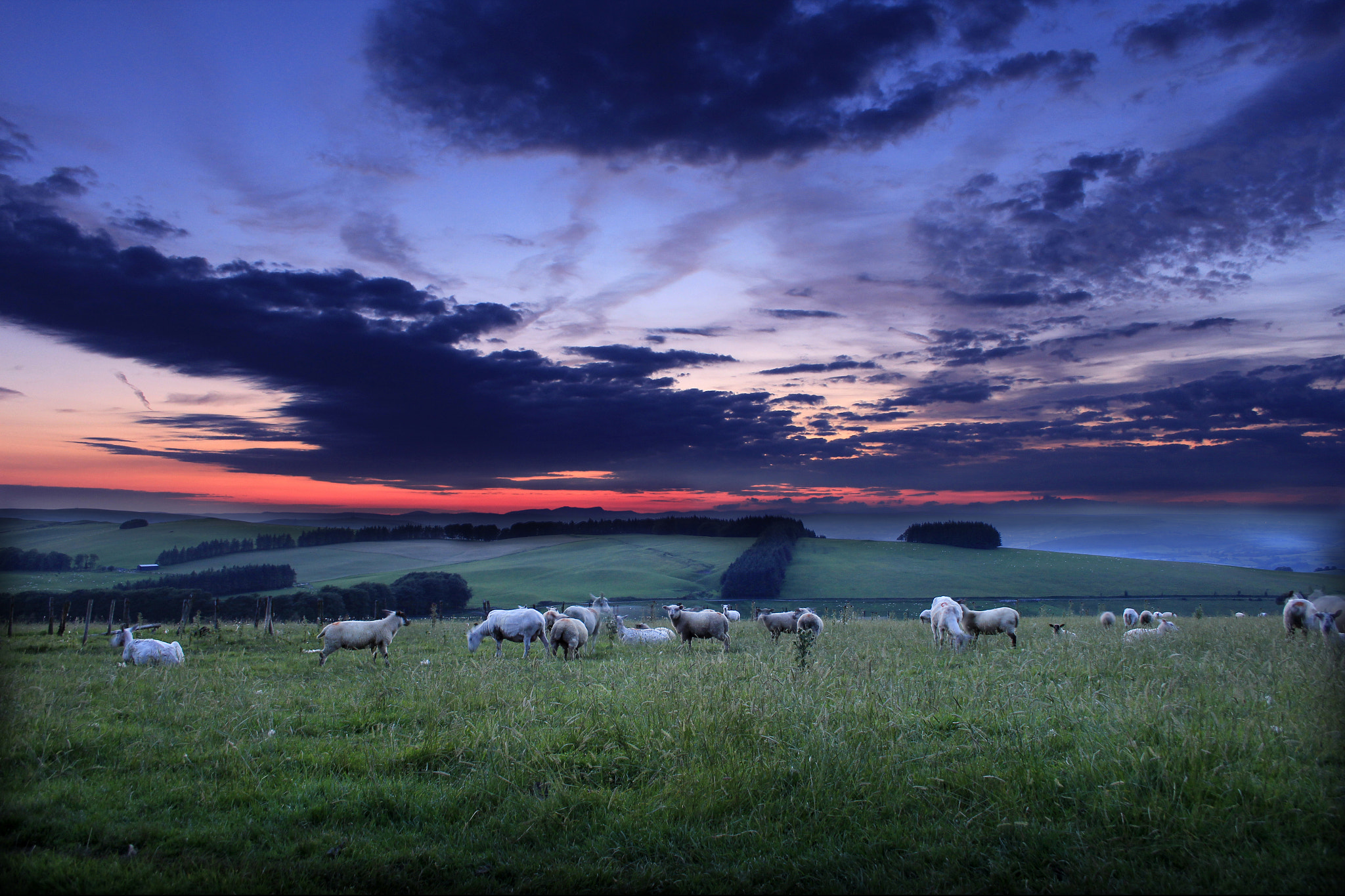 Canon EF-S 18-55mm F3.5-5.6 II sample photo. Montgomeryshire hills photography