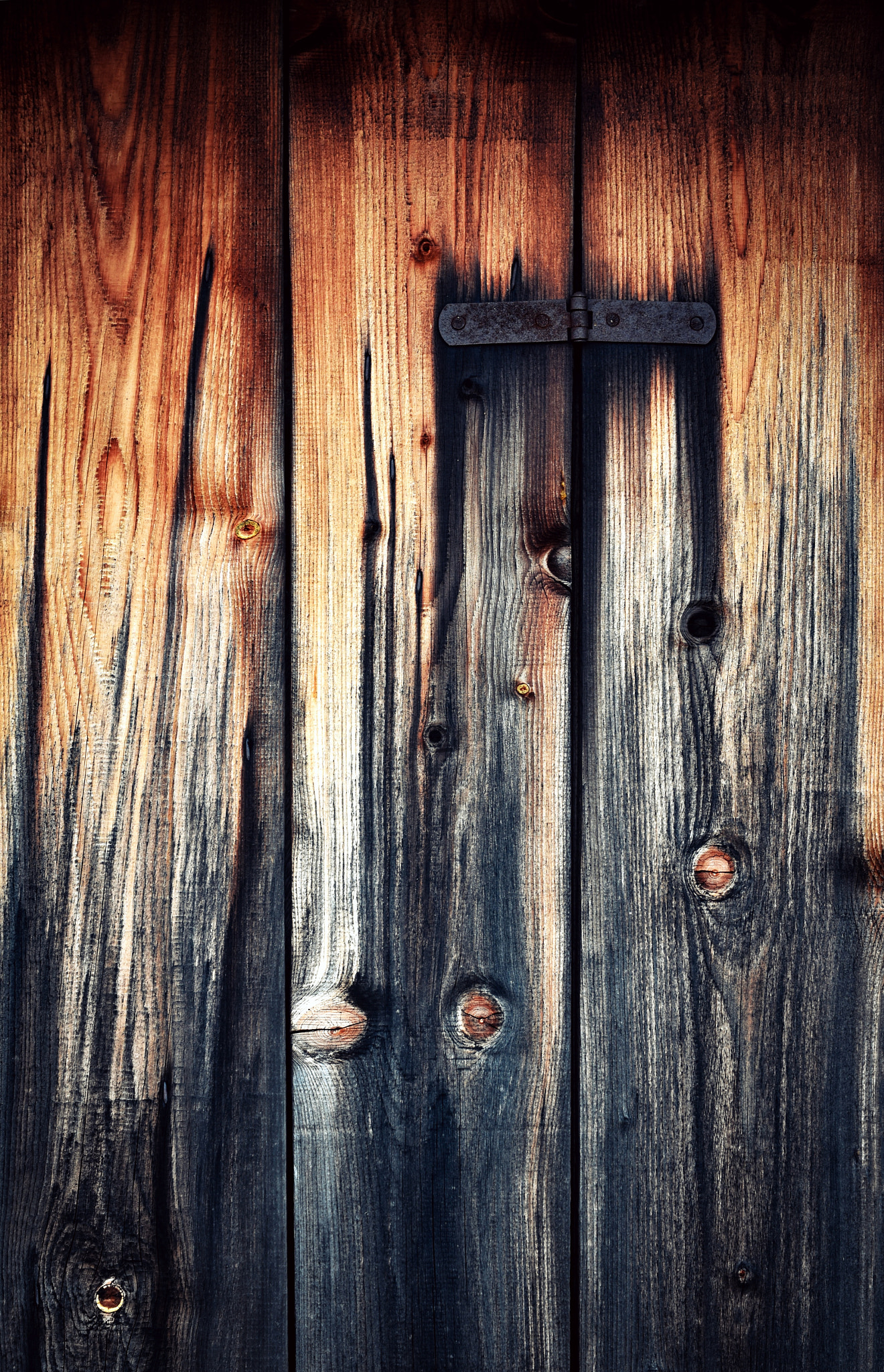 Nikon D5500 sample photo. Detail of an old wooden door photography