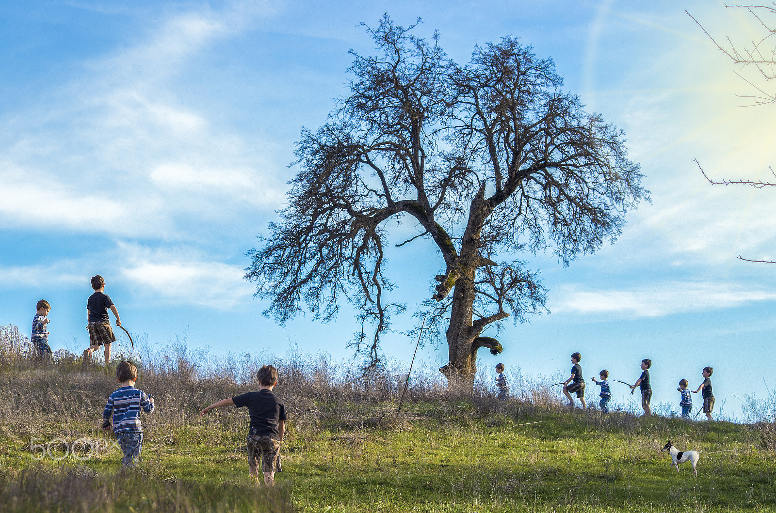 smc PENTAX-DA L 55-300mm F4-5.8 ED sample photo. Composite of my sons playing on our property. photography