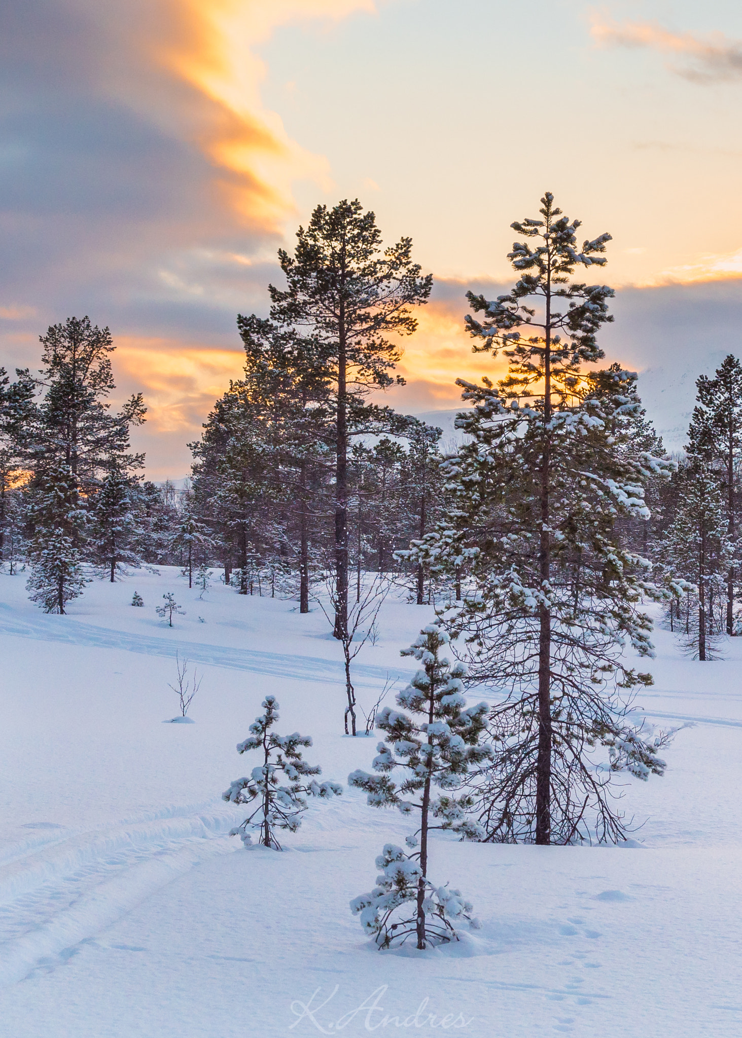 Sony a7S + Sony FE 70-200mm F4 G OSS sample photo. Ice and fire photography