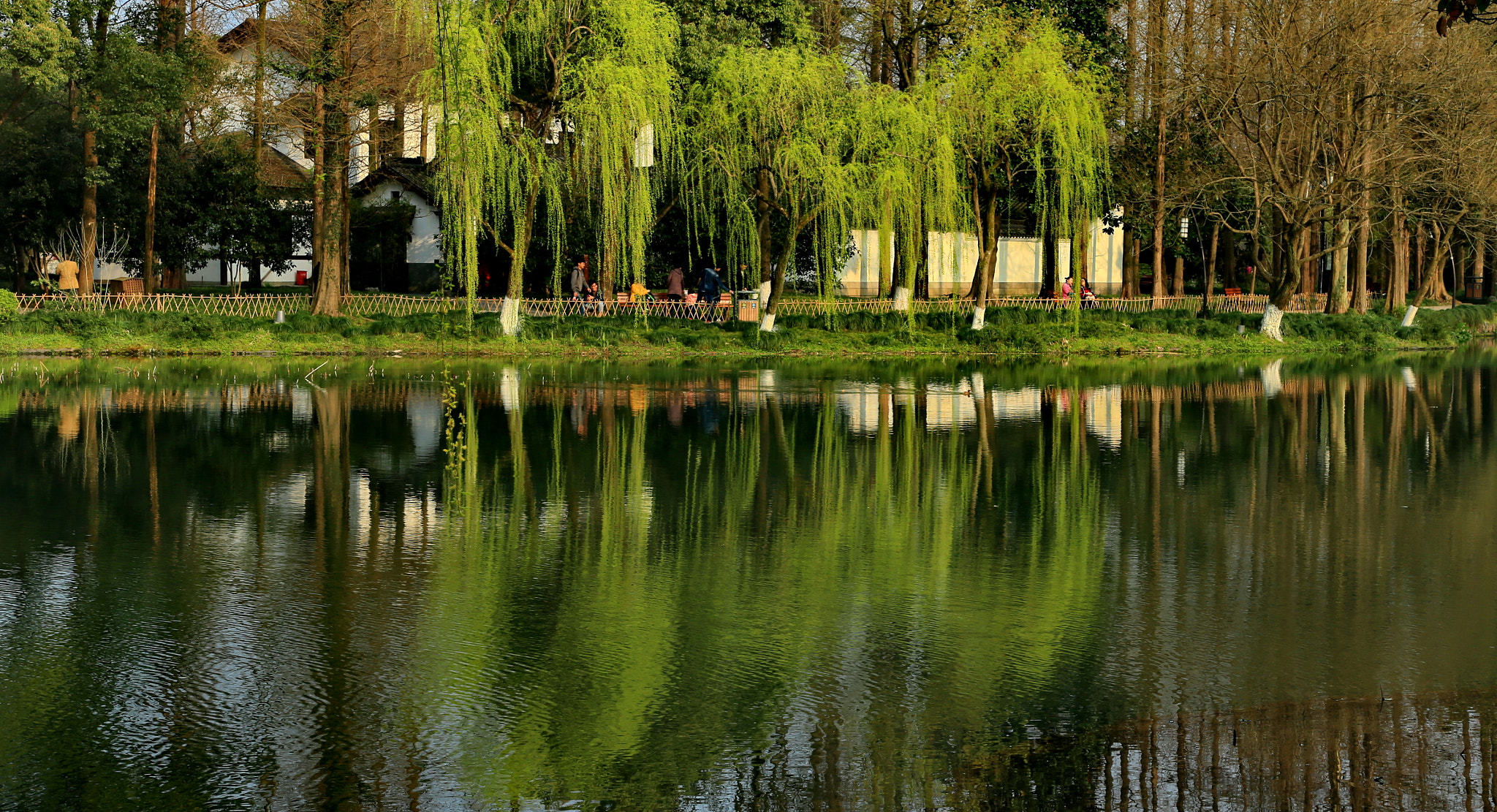 Canon EOS-1D X sample photo. Spring green photography
