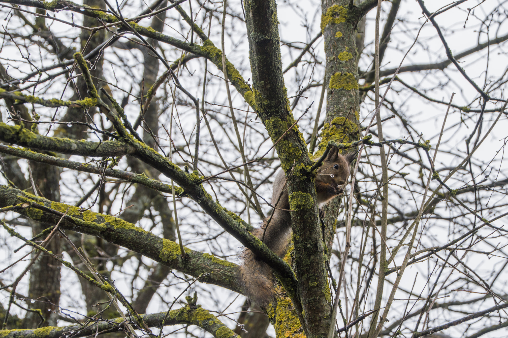 Nikon D3200 sample photo. Untitled photography