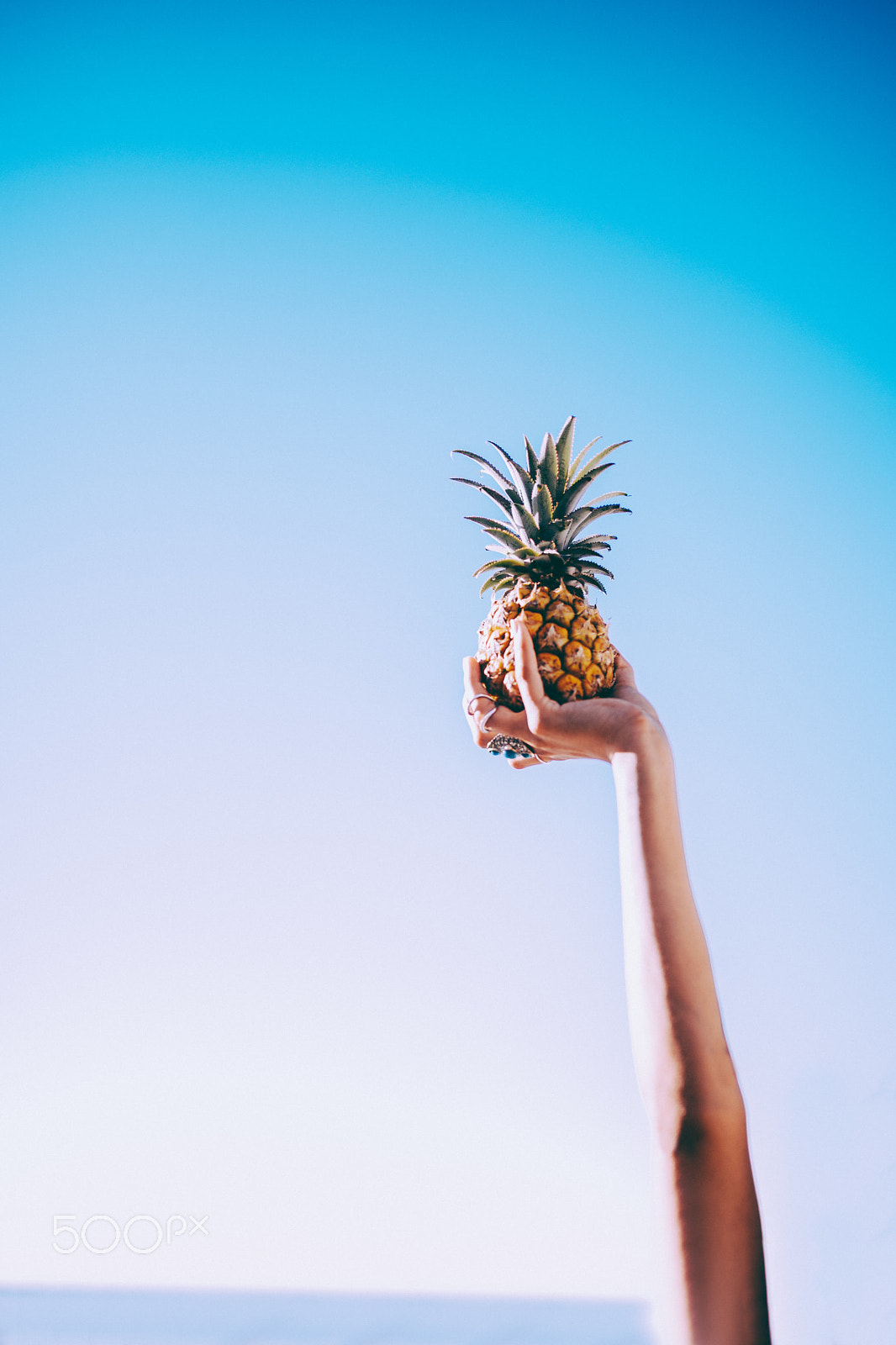 Canon EOS 5DS + Sigma 35mm F1.4 DG HSM Art sample photo. Close-up of hand holding pineapple in sky photography