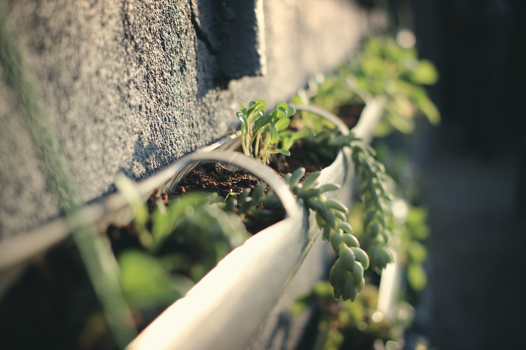 Canon EOS 600D (Rebel EOS T3i / EOS Kiss X5) + Canon EF 40mm F2.8 STM sample photo. Dalat photography