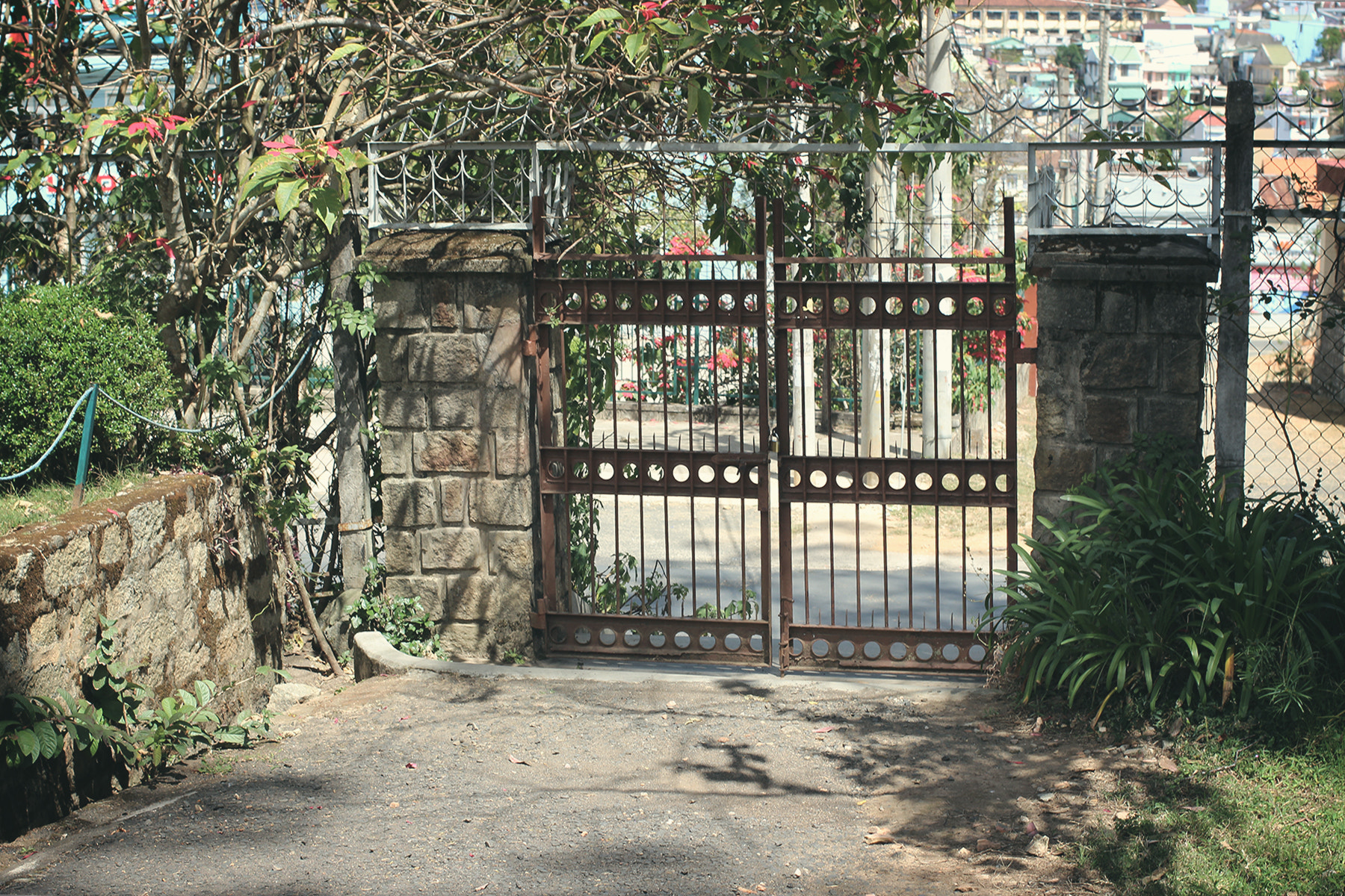 Canon EOS 600D (Rebel EOS T3i / EOS Kiss X5) + Canon EF 40mm F2.8 STM sample photo. Dalat photography