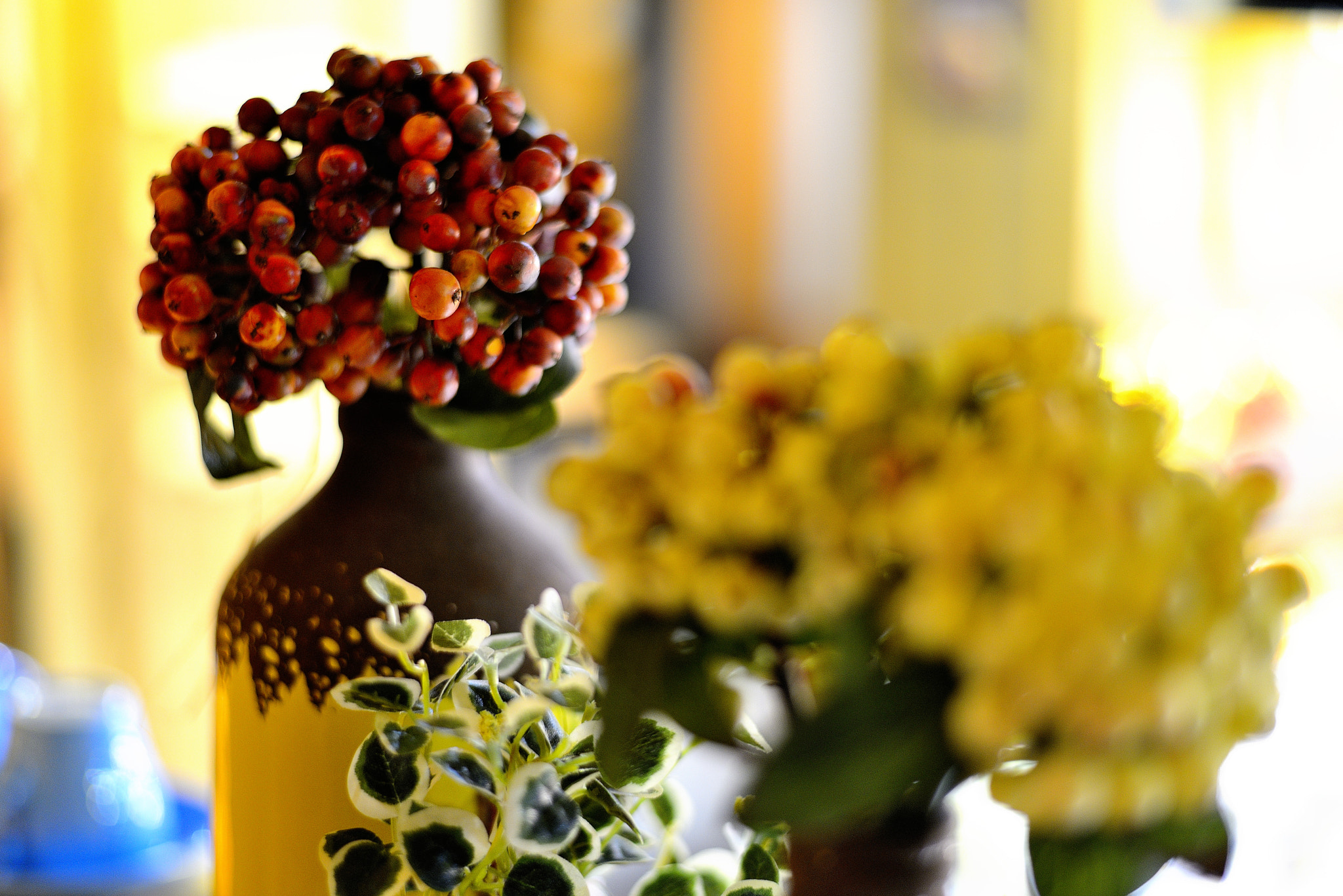 Nikon D800E + Nikon AF-S Nikkor 50mm F1.8G sample photo. Berries photography