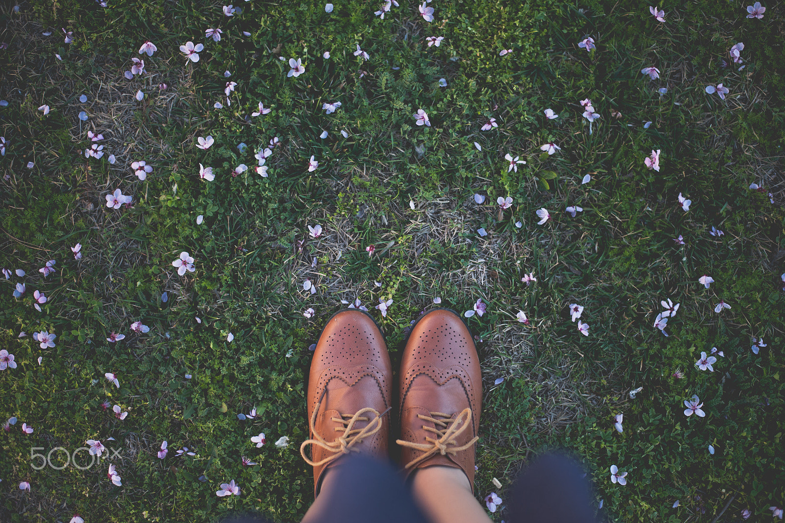 Nikon D700 + Nikon AF-S Nikkor 50mm F1.8G sample photo. Vintage female shoes on green grass and flowers. photography