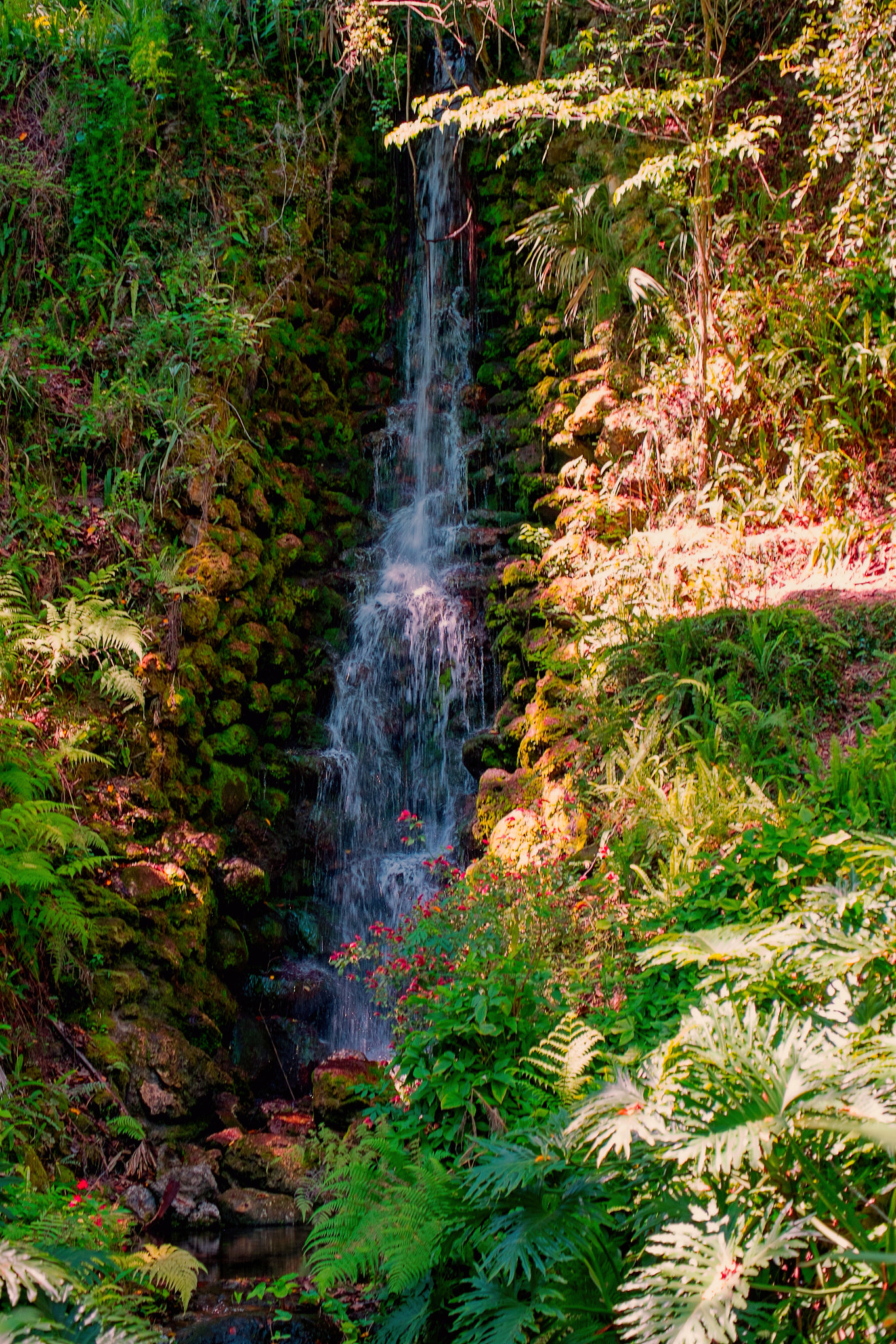 Fujifilm X-E1 + Fujifilm XF 55-200mm F3.5-4.8 R LM OIS sample photo. Rainbow springs waterfalls photography