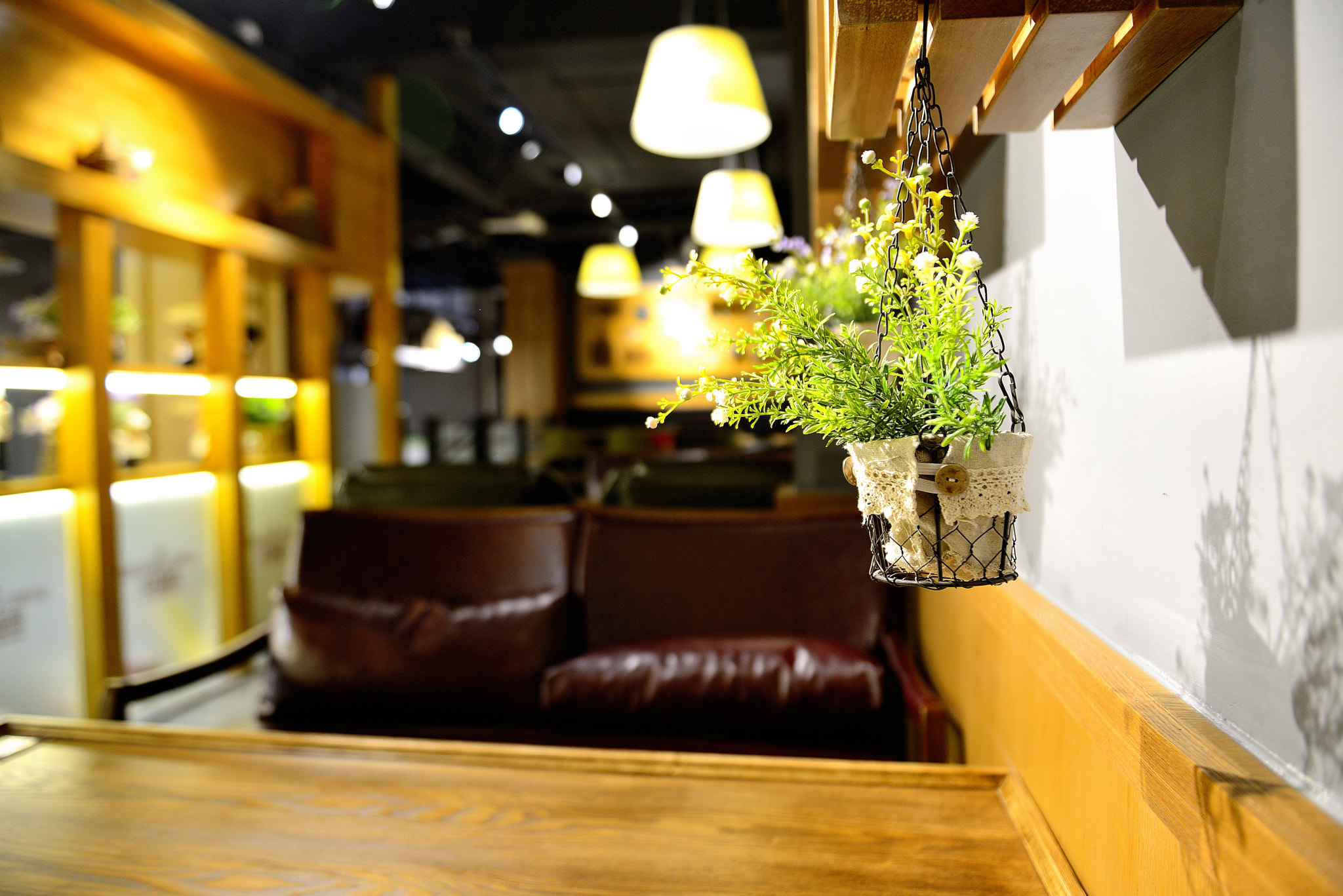 Nikon AF-S Nikkor 24-70mm F2.8G ED sample photo. Warm place to spend saturday afternoon photography