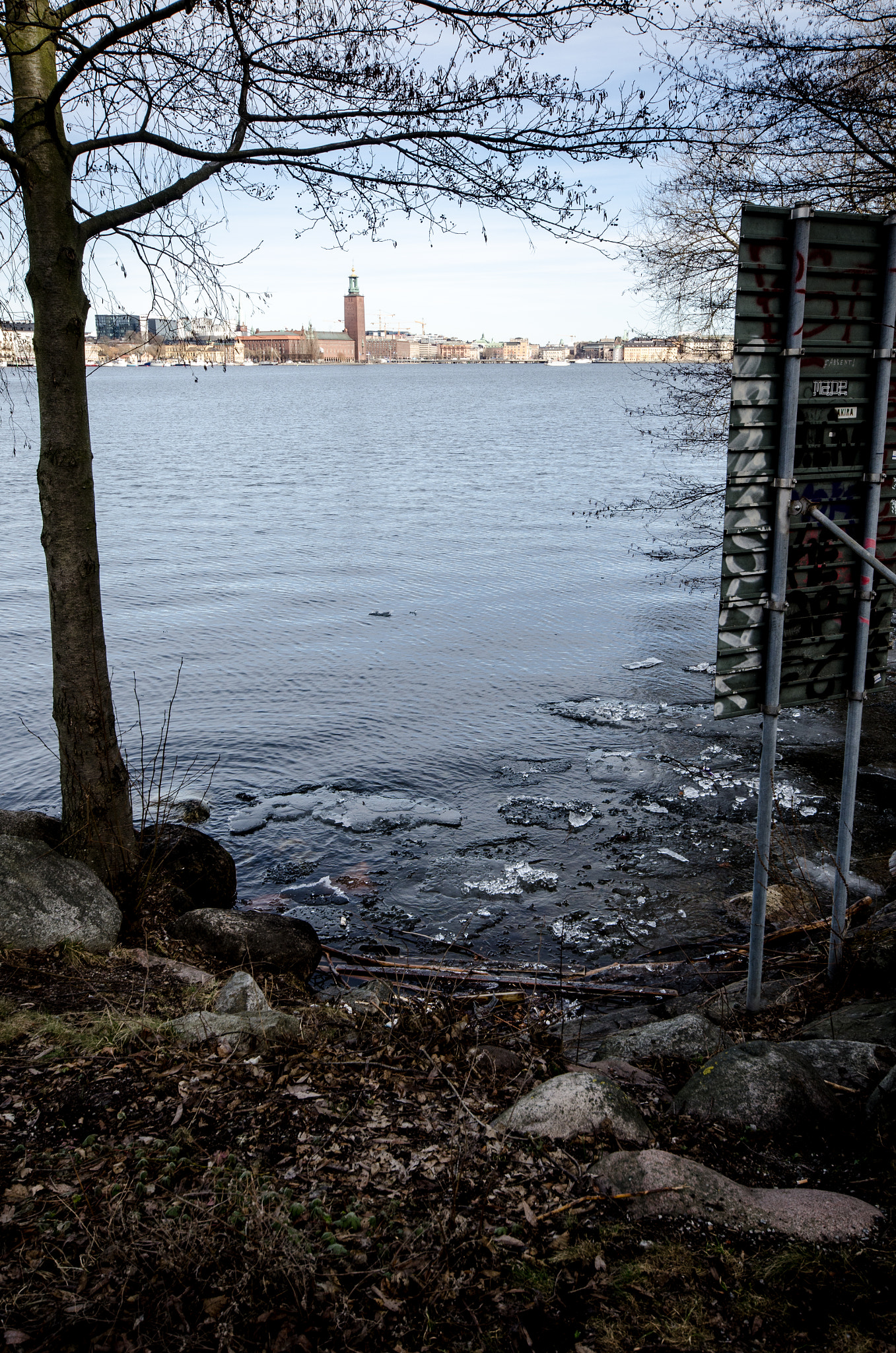 Sigma 10-20mm F4-5.6 EX DC HSM sample photo. Frozen landscape photography