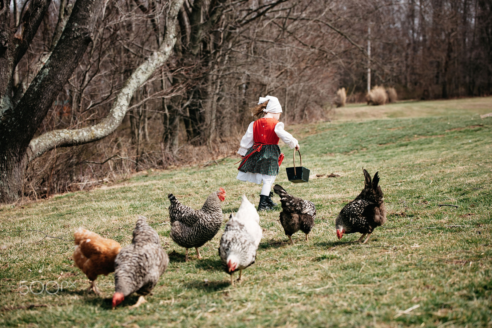 Nikon D750 sample photo. Farm life photography